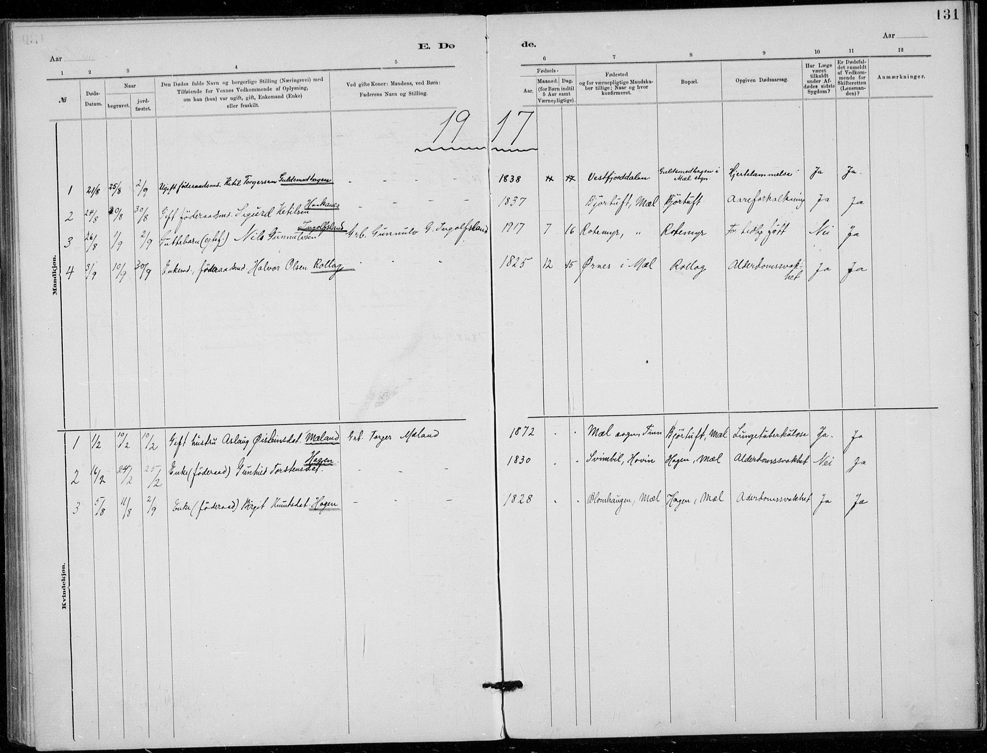 Tinn kirkebøker, AV/SAKO-A-308/F/Fb/L0002: Parish register (official) no. II 2, 1878-1917, p. 131