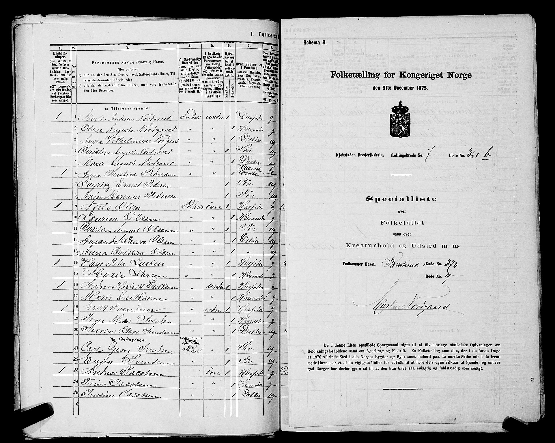 RA, 1875 census for 0101P Fredrikshald, 1875, p. 894