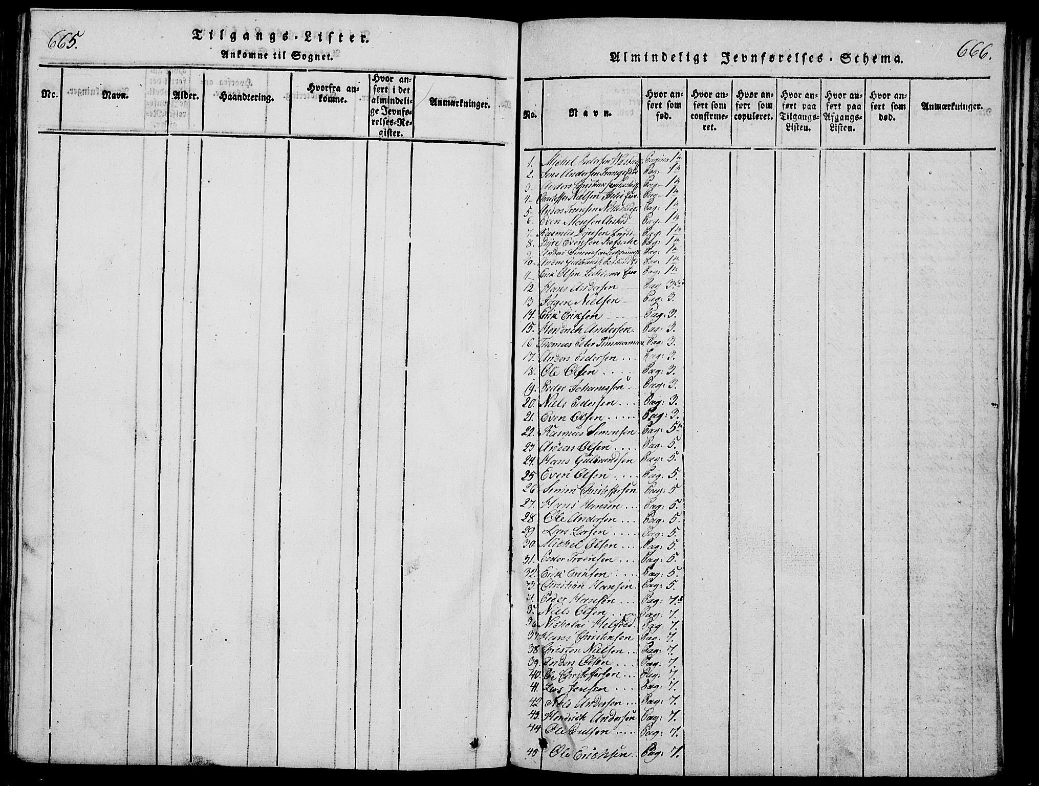 Stange prestekontor, SAH/PREST-002/K/L0008: Parish register (official) no. 8, 1814-1825, p. 665-666