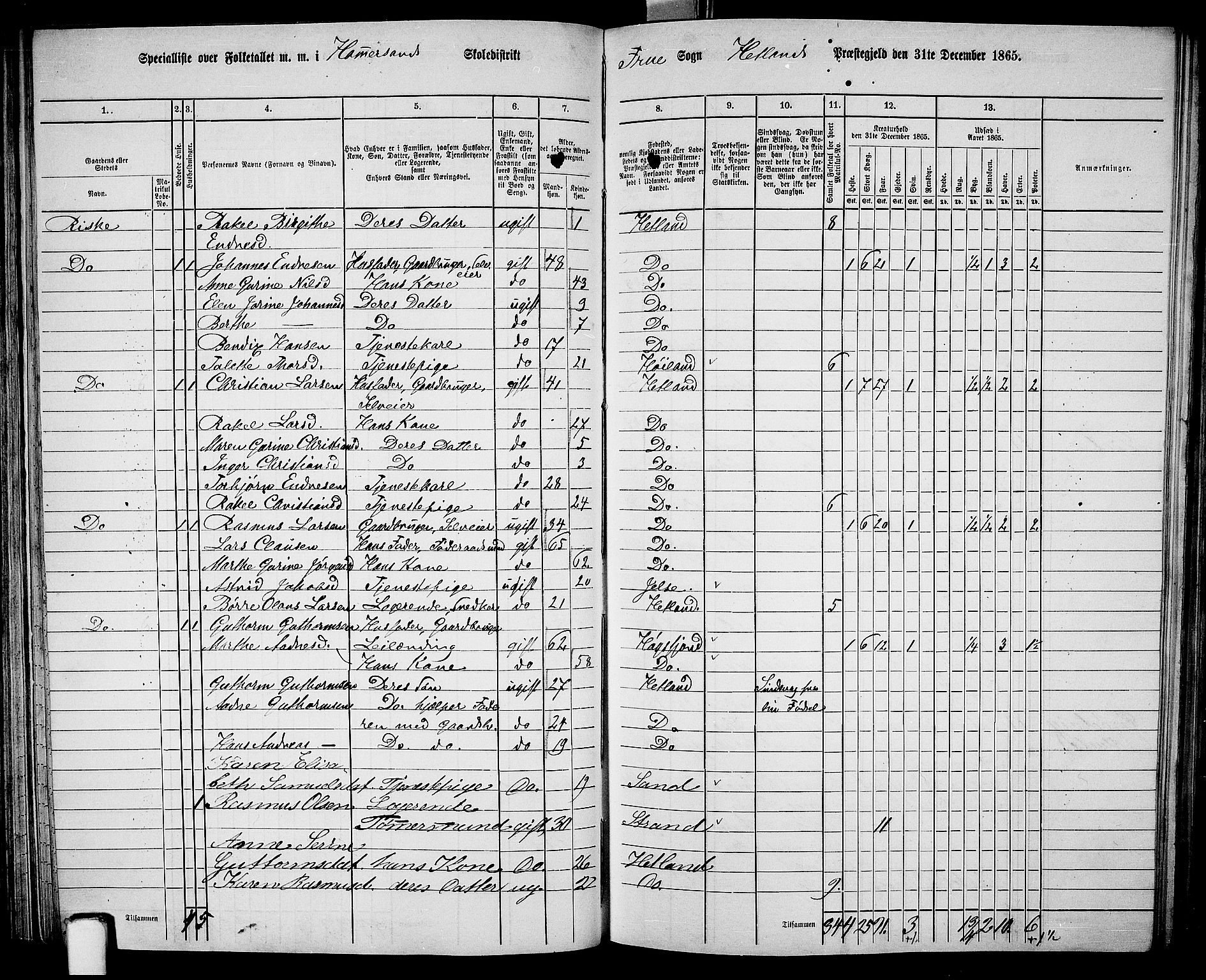 RA, 1865 census for Hetland, 1865, p. 85