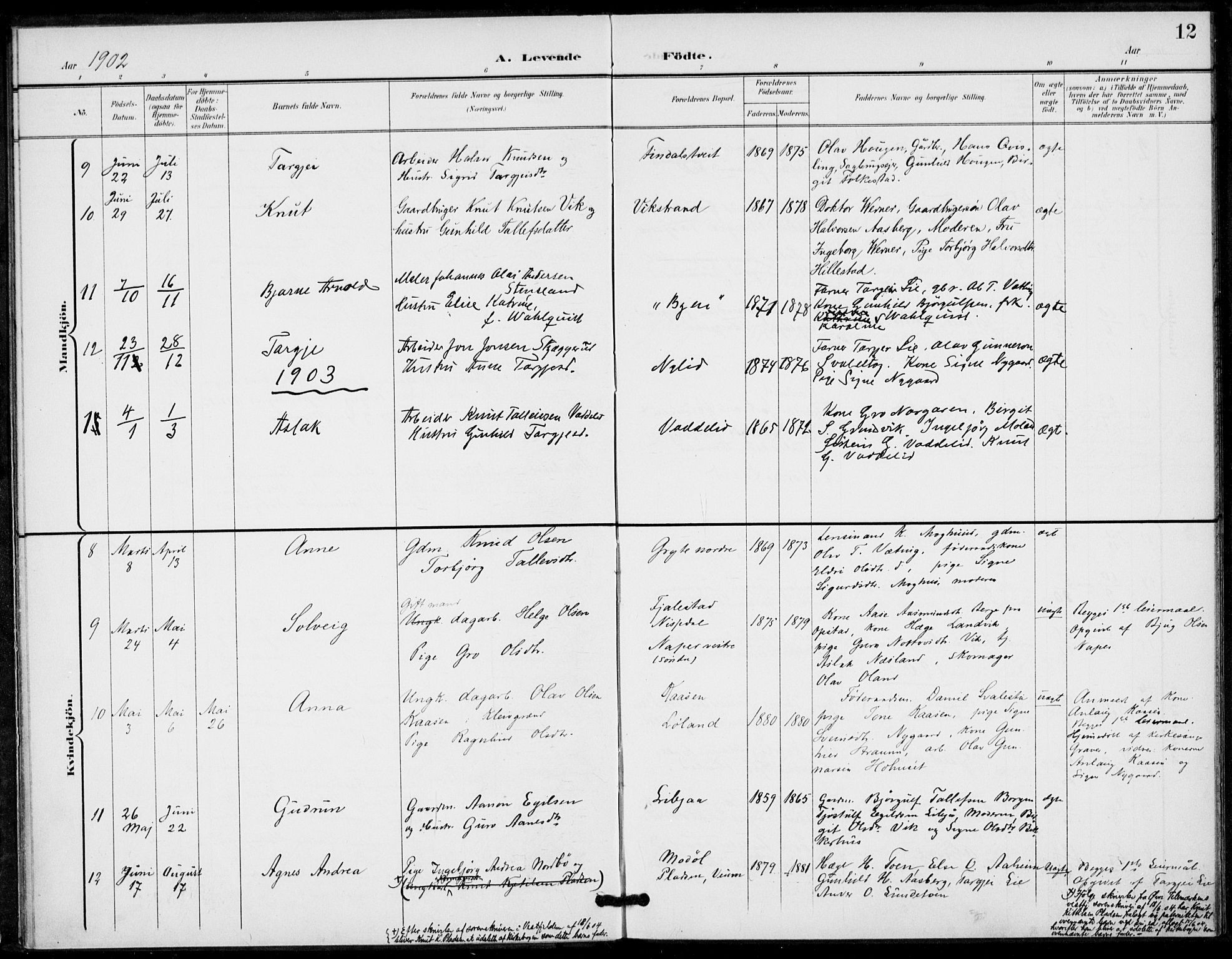 Fyresdal kirkebøker, AV/SAKO-A-263/F/Fa/L0008: Parish register (official) no. I 8, 1899-1914, p. 12