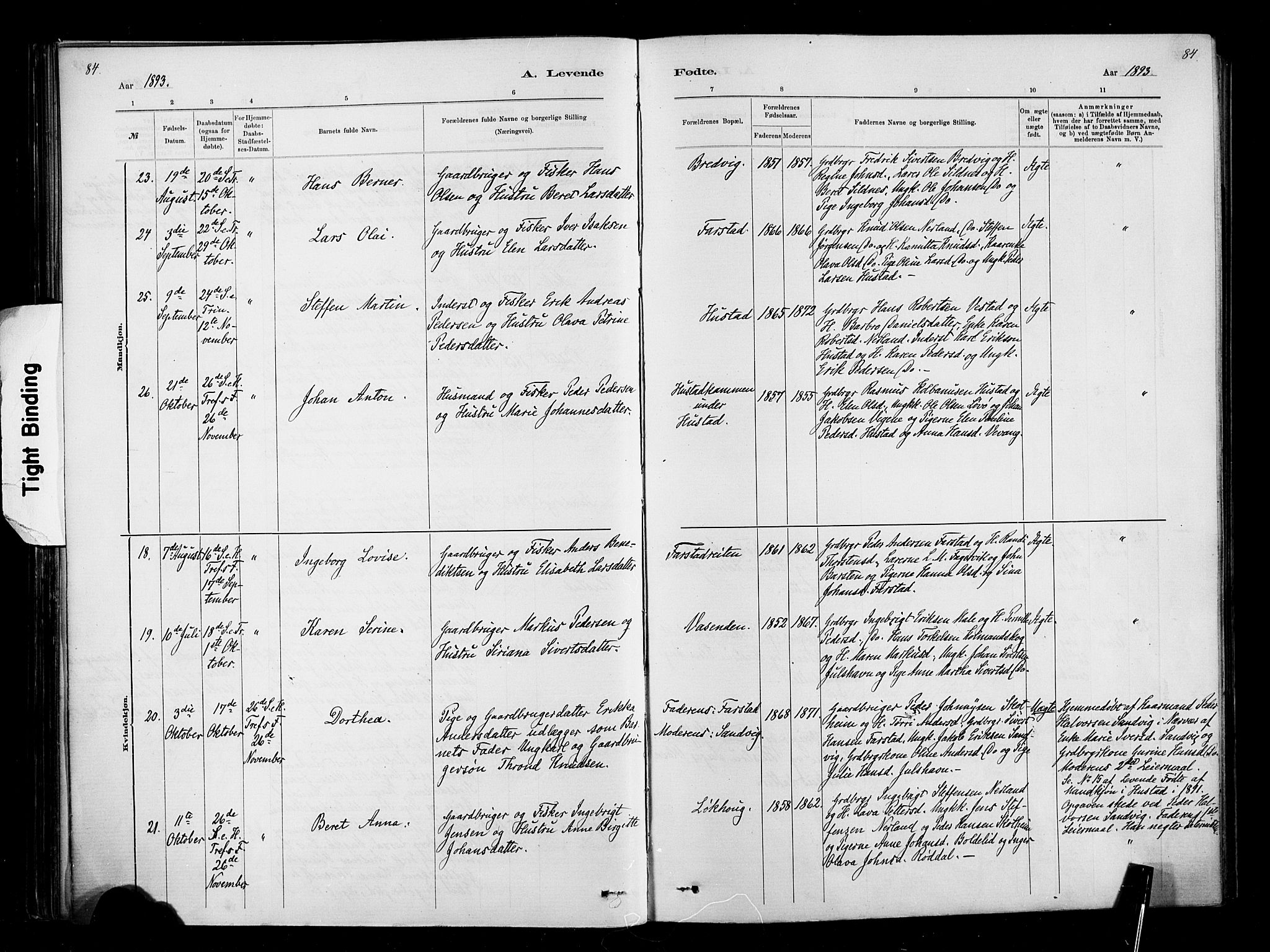 Ministerialprotokoller, klokkerbøker og fødselsregistre - Møre og Romsdal, AV/SAT-A-1454/567/L0778: Parish register (official) no. 567A01, 1881-1903, p. 84