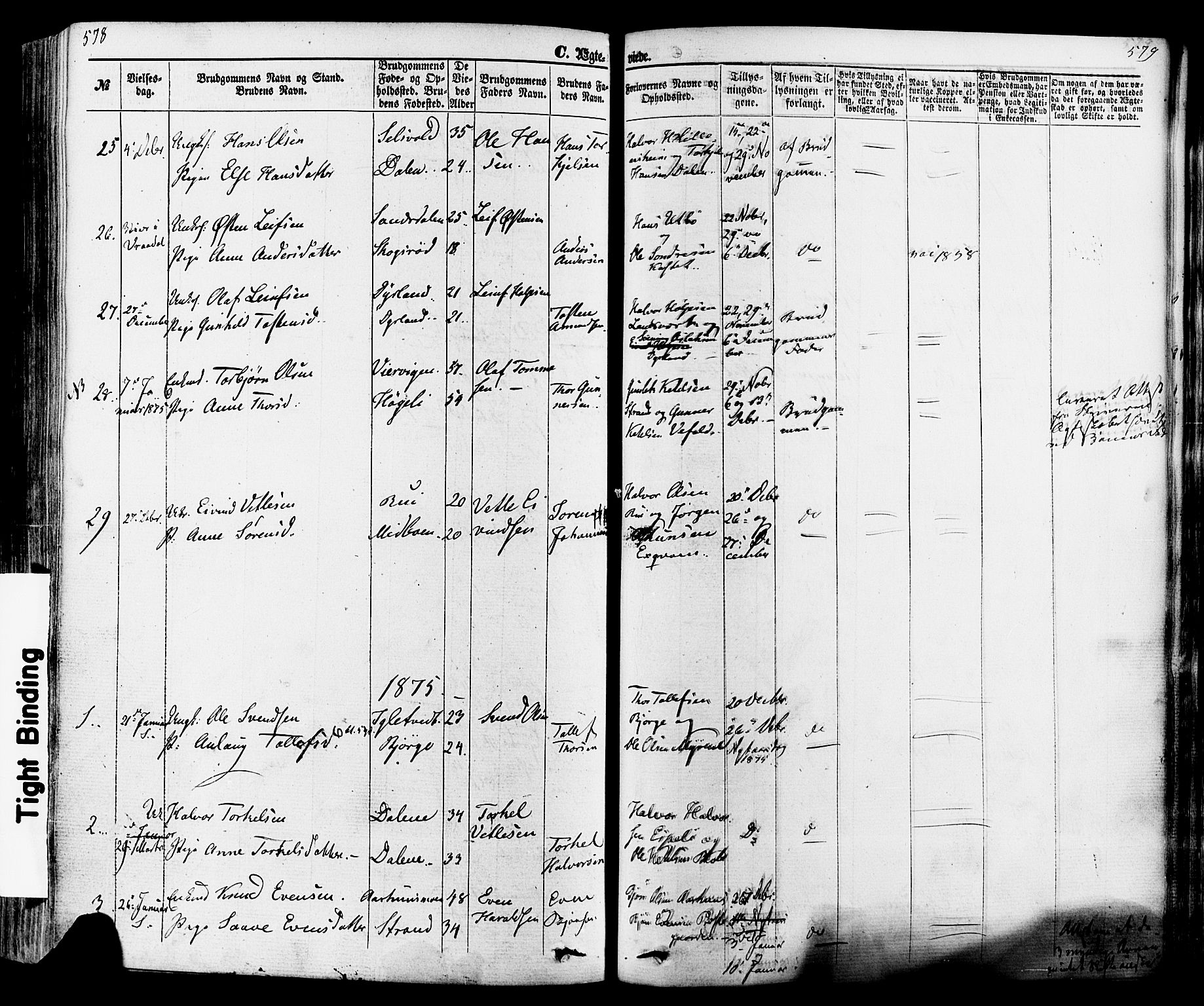 Seljord kirkebøker, SAKO/A-20/F/Fa/L0013: Parish register (official) no. I 13, 1866-1876, p. 578-579