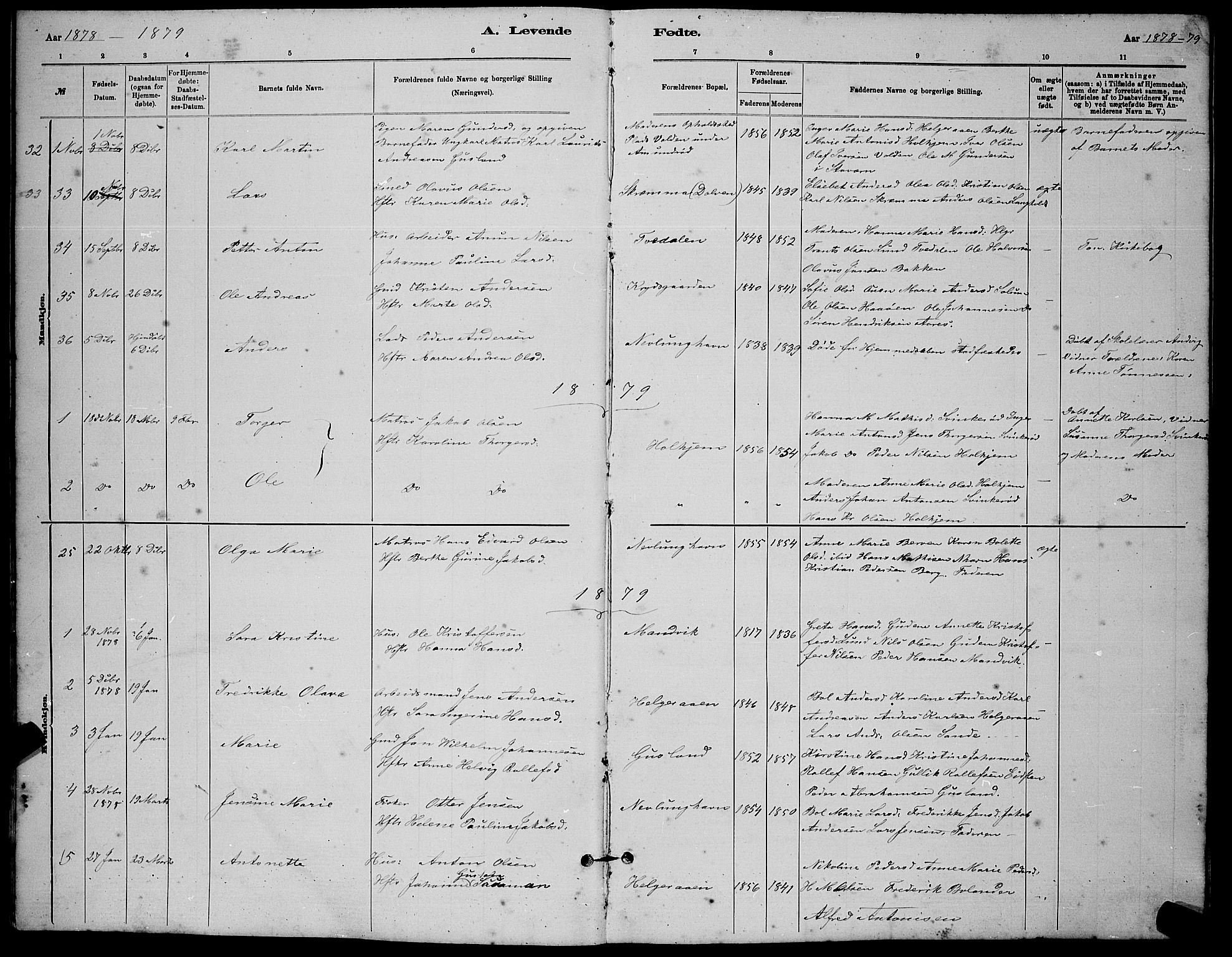 Brunlanes kirkebøker, AV/SAKO-A-342/G/Gb/L0002: Parish register (copy) no. II 2, 1878-1902