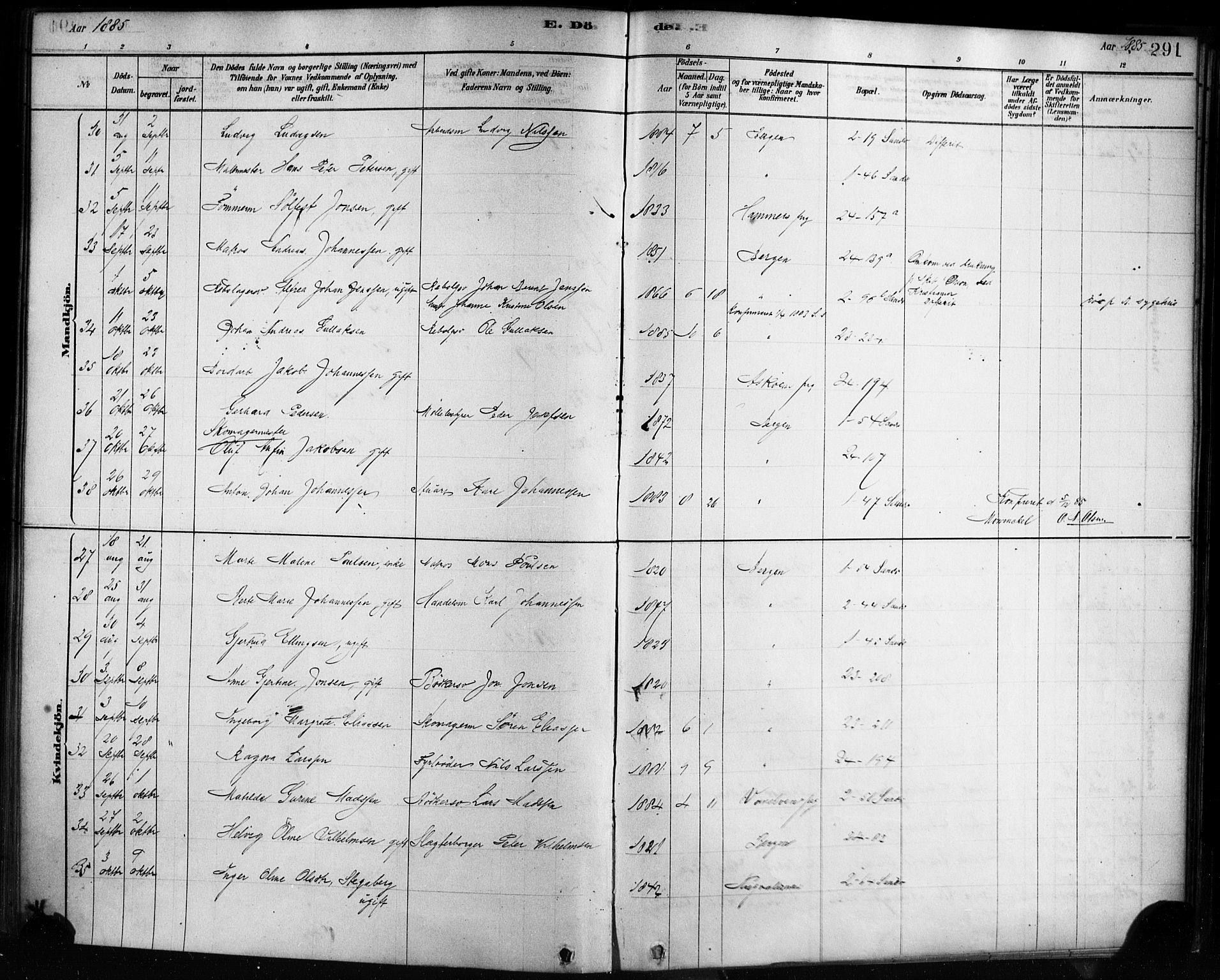 Sandviken Sokneprestembete, AV/SAB-A-77601/H/Ha/L0002: Parish register (official) no. A 2, 1878-1896, p. 291