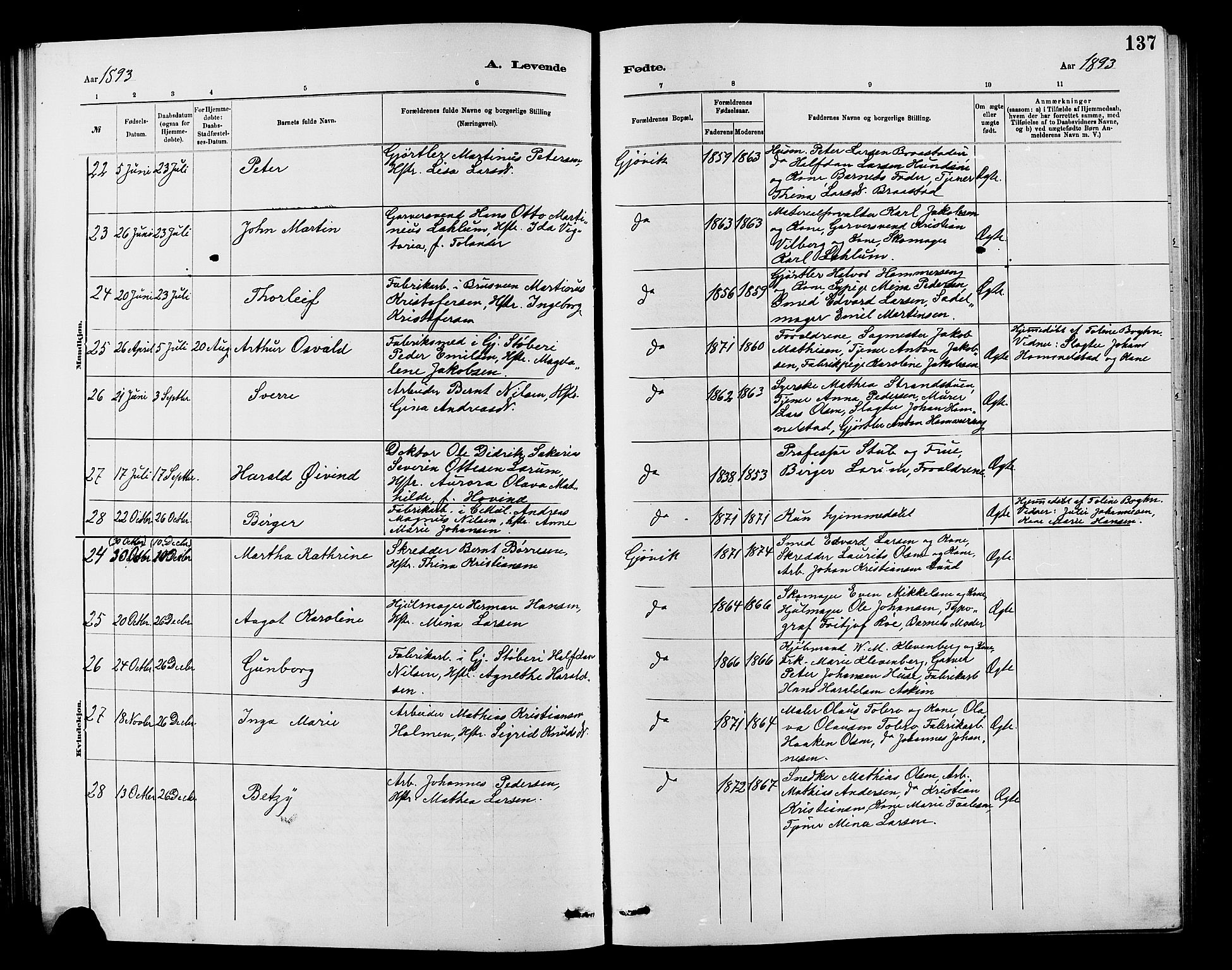 Vardal prestekontor, SAH/PREST-100/H/Ha/Hab/L0007: Parish register (copy) no. 7 /2, 1881-1895, p. 137