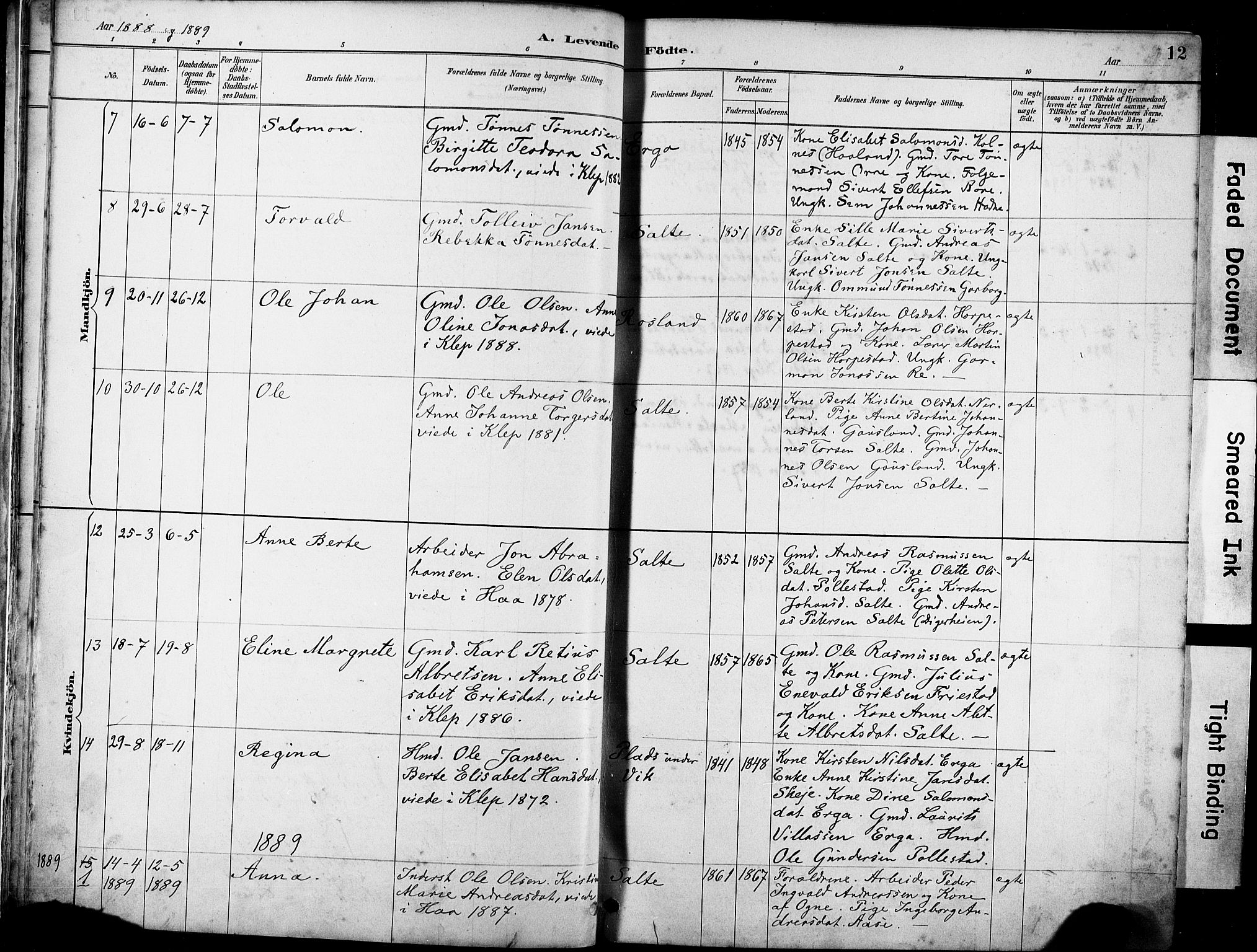 Klepp sokneprestkontor, AV/SAST-A-101803/001/3/30BA/L0007: Parish register (official) no. A 8, 1886-1912, p. 12