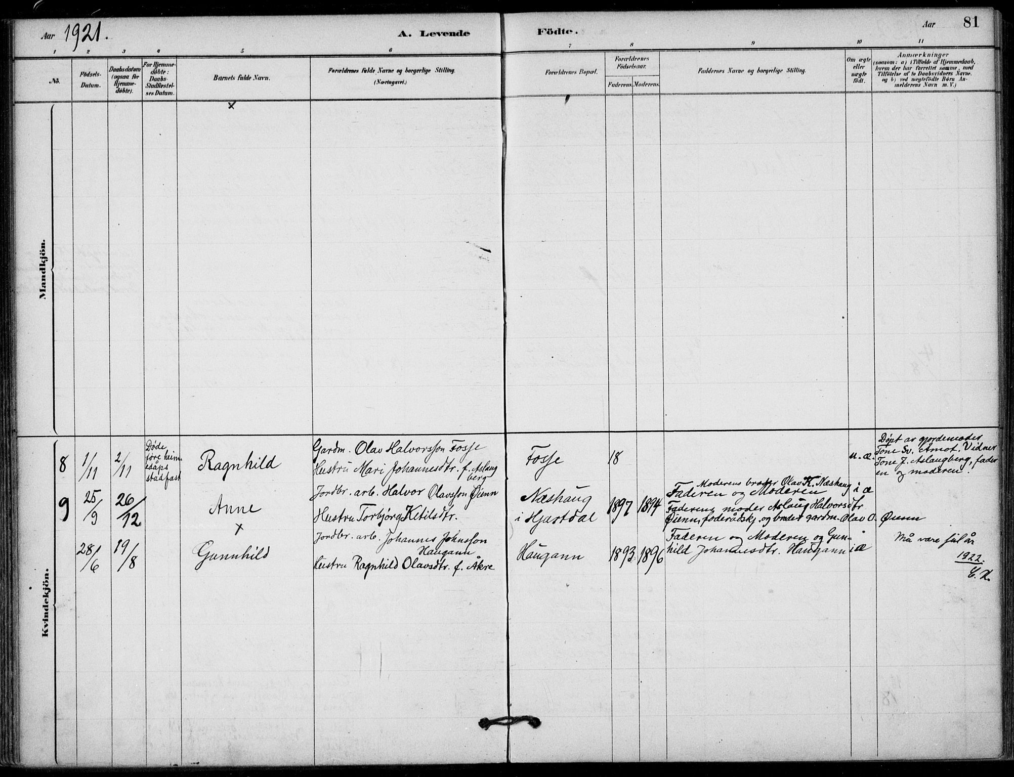 Hjartdal kirkebøker, AV/SAKO-A-270/F/Fb/L0002: Parish register (official) no. II 2, 1880-1932, p. 81