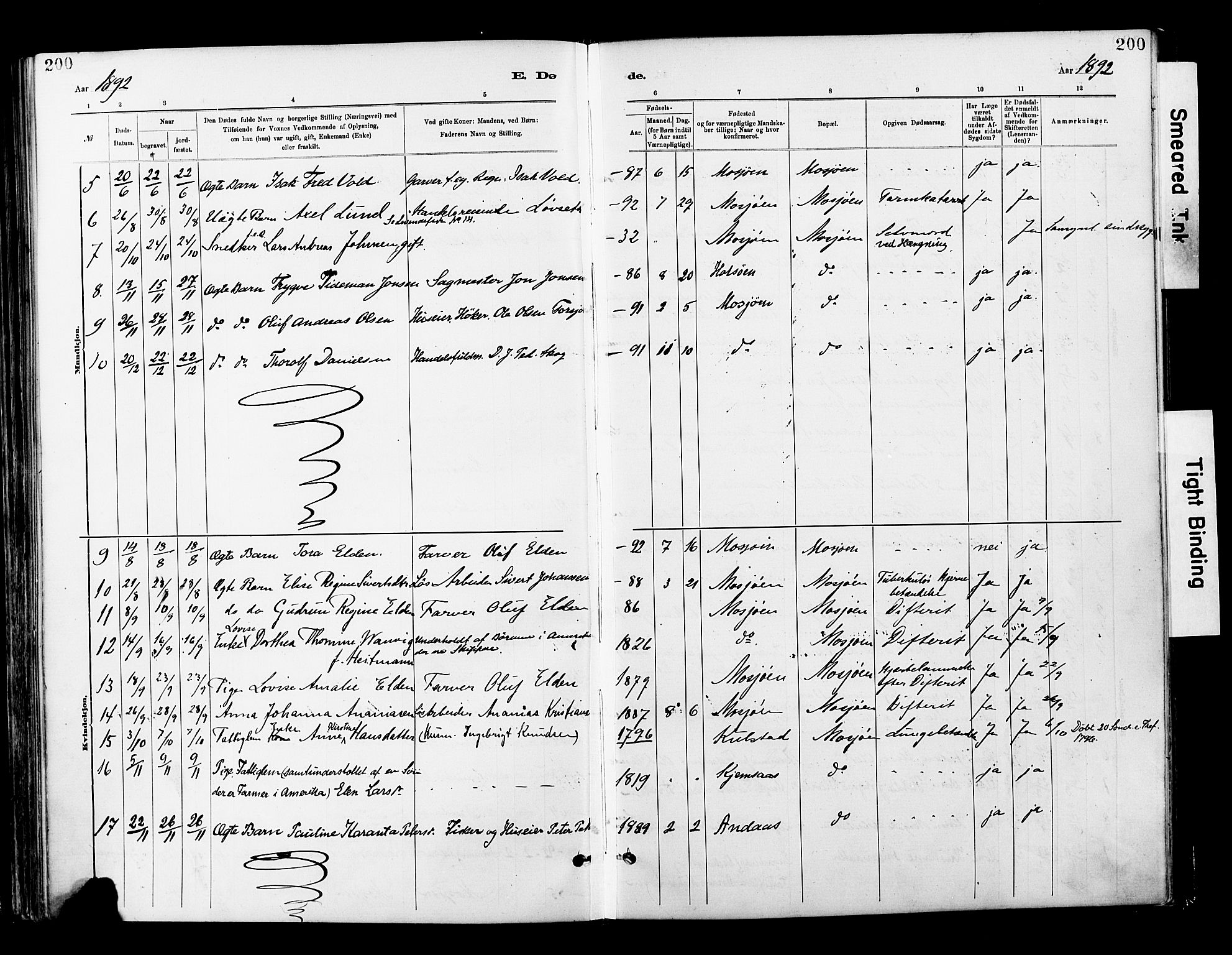 Ministerialprotokoller, klokkerbøker og fødselsregistre - Nordland, AV/SAT-A-1459/820/L0296: Parish register (official) no. 820A17, 1880-1903, p. 200