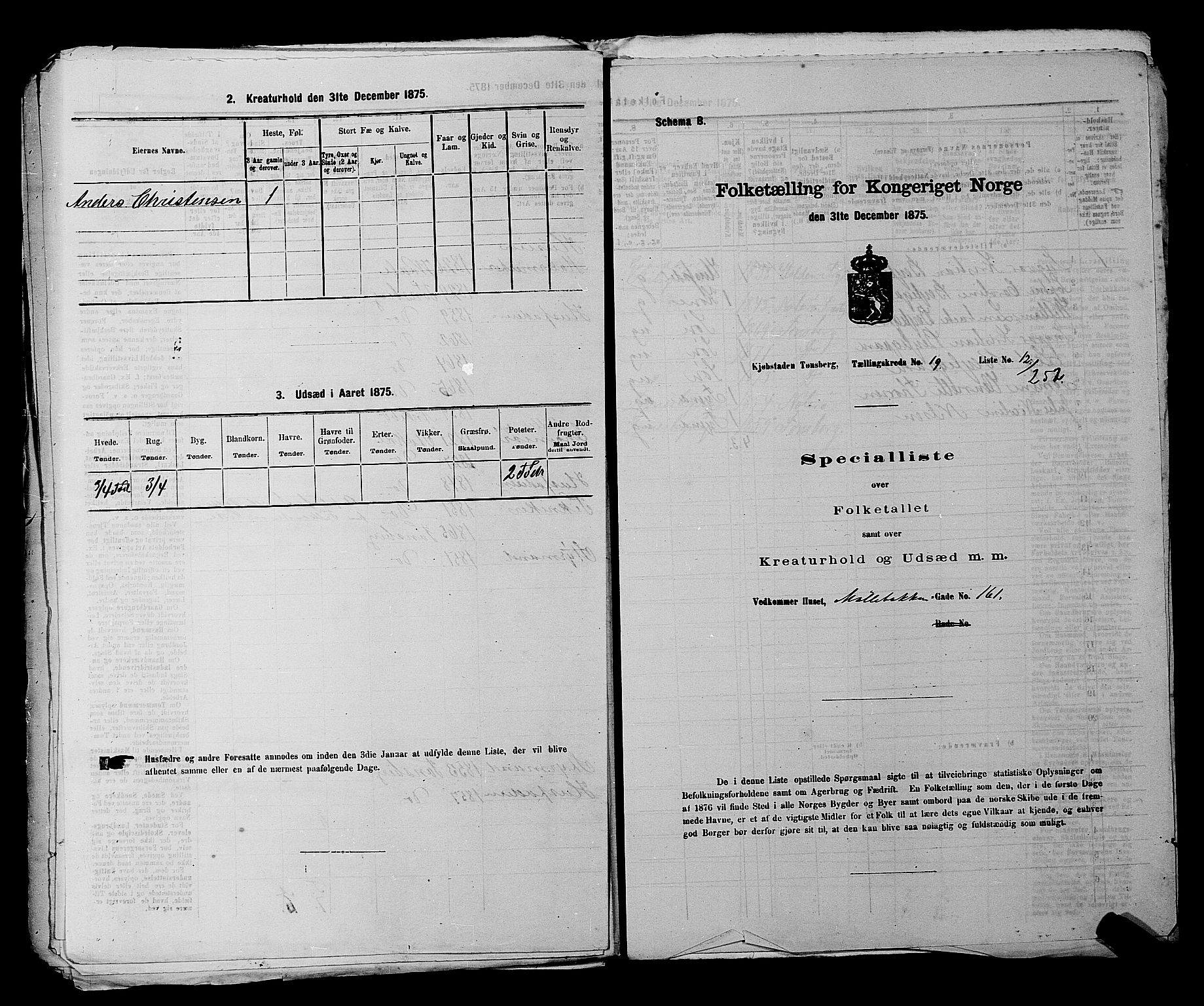 SAKO, 1875 census for 0705P Tønsberg, 1875, p. 620