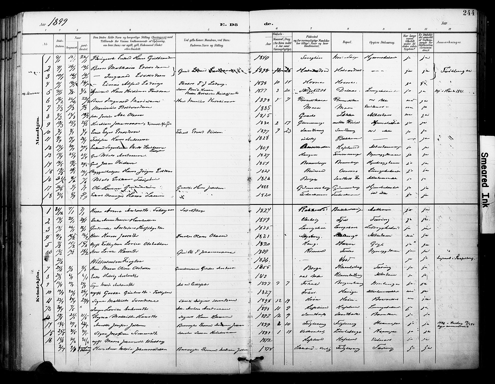 Skjeberg prestekontor Kirkebøker, SAO/A-10923/F/Fa/L0010: Parish register (official) no. I 10, 1898-1911, p. 244
