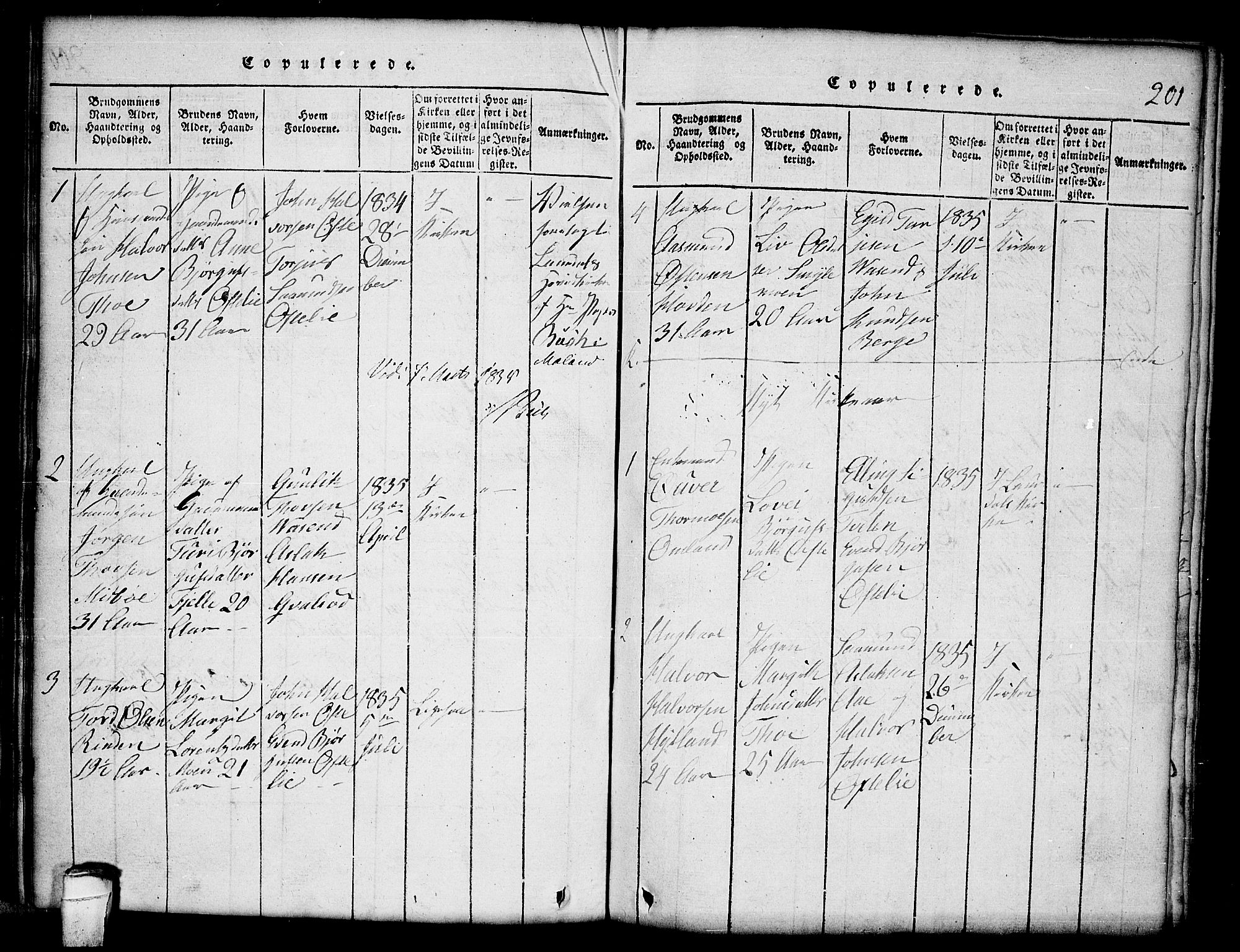 Lårdal kirkebøker, SAKO/A-284/G/Gc/L0001: Parish register (copy) no. III 1, 1815-1854, p. 201