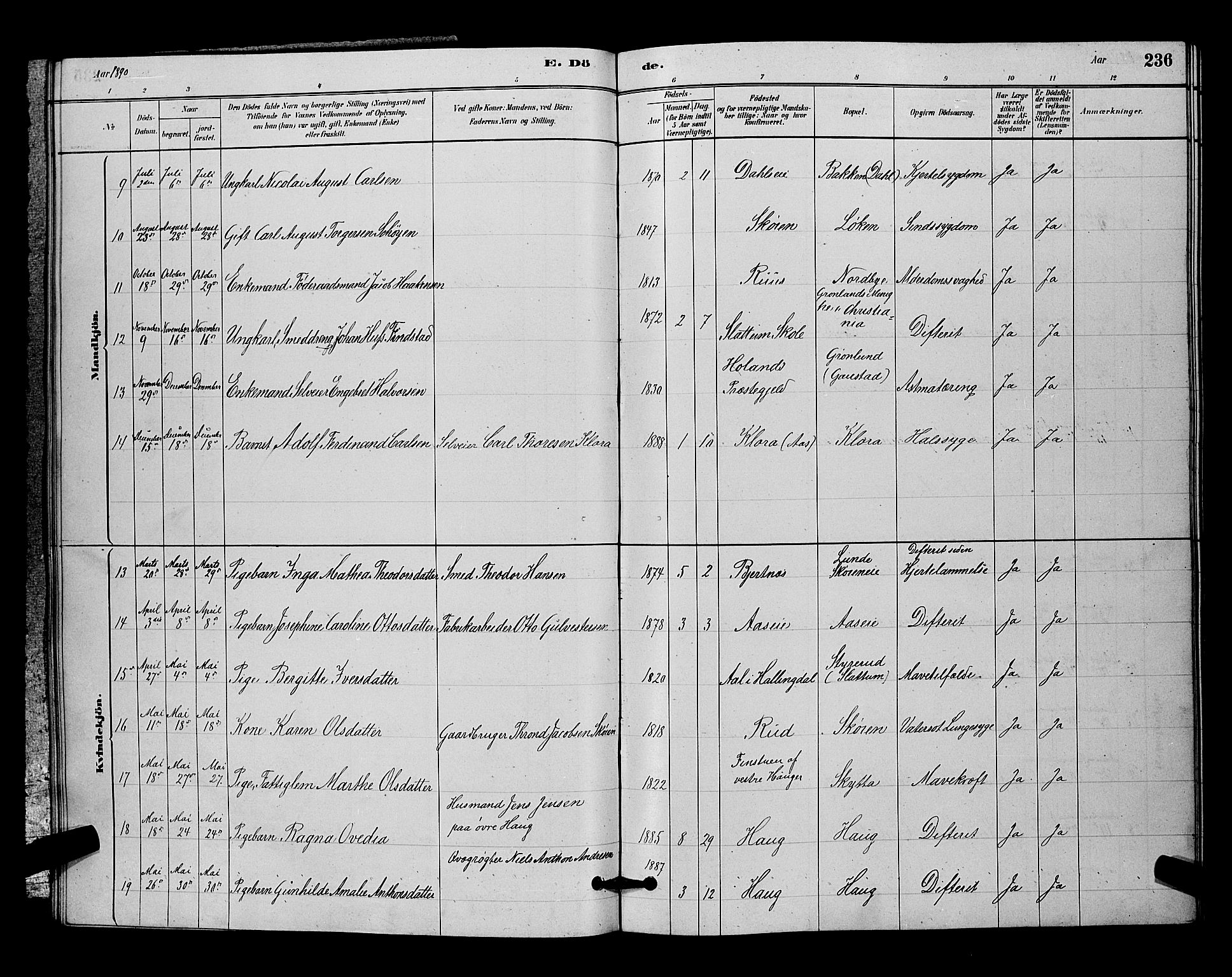 Nittedal prestekontor Kirkebøker, SAO/A-10365a/G/Ga/L0002: Parish register (copy) no. I 2, 1879-1901, p. 236