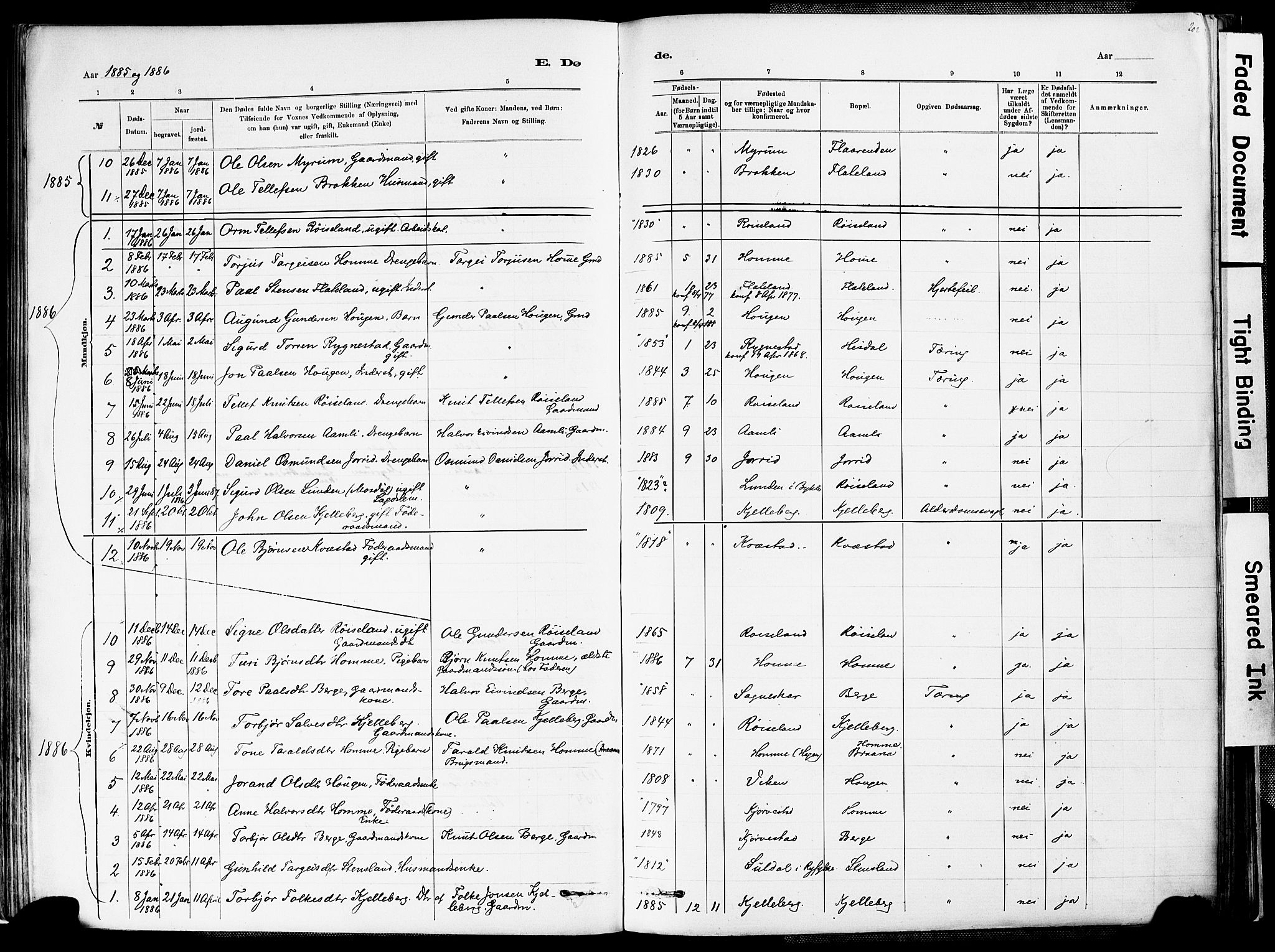 Valle sokneprestkontor, AV/SAK-1111-0044/F/Fa/Fac/L0009: Parish register (official) no. A 9, 1882-1913, p. 202