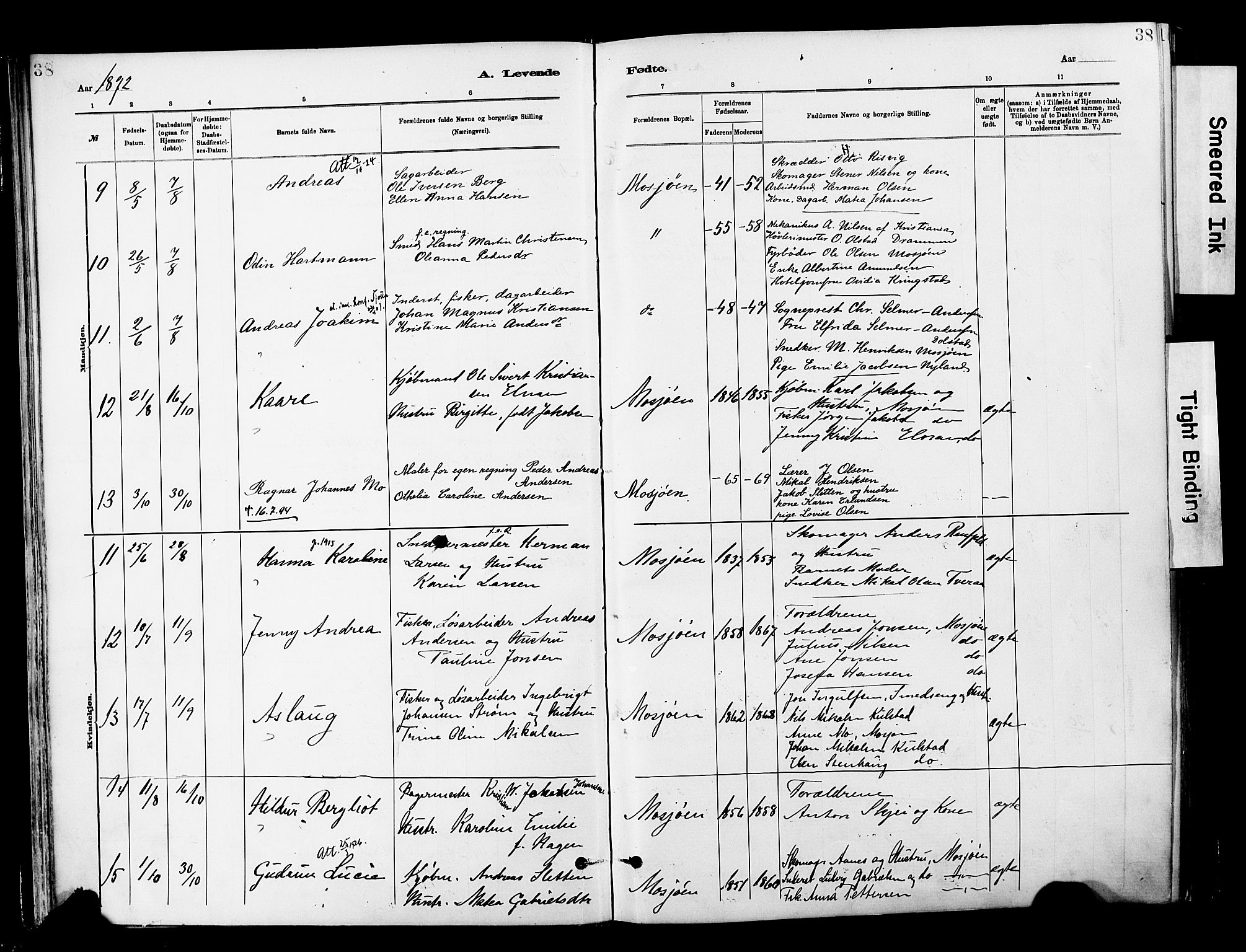 Ministerialprotokoller, klokkerbøker og fødselsregistre - Nordland, SAT/A-1459/820/L0296: Parish register (official) no. 820A17, 1880-1903, p. 38