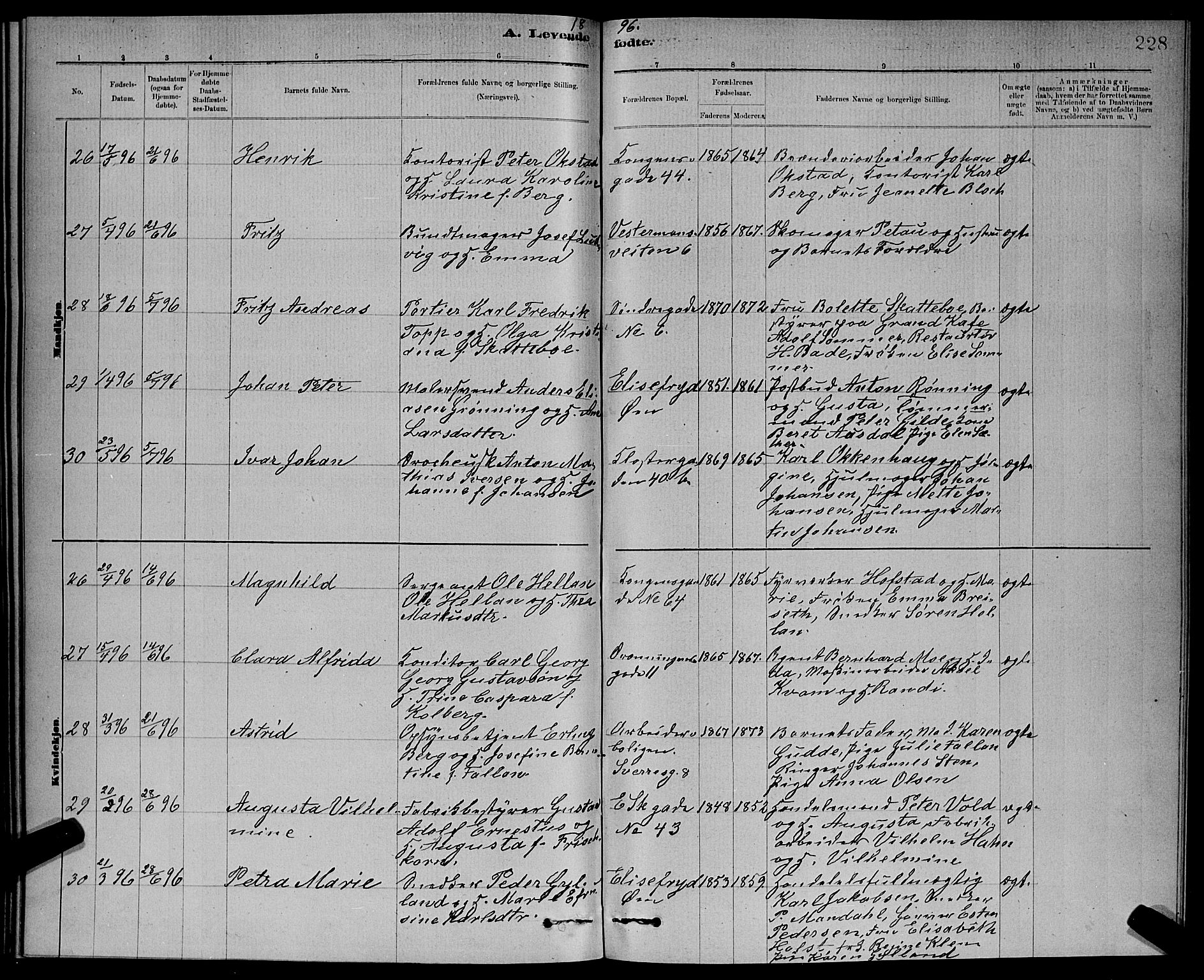 Ministerialprotokoller, klokkerbøker og fødselsregistre - Sør-Trøndelag, AV/SAT-A-1456/601/L0092: Parish register (copy) no. 601C10, 1884-1897, p. 228