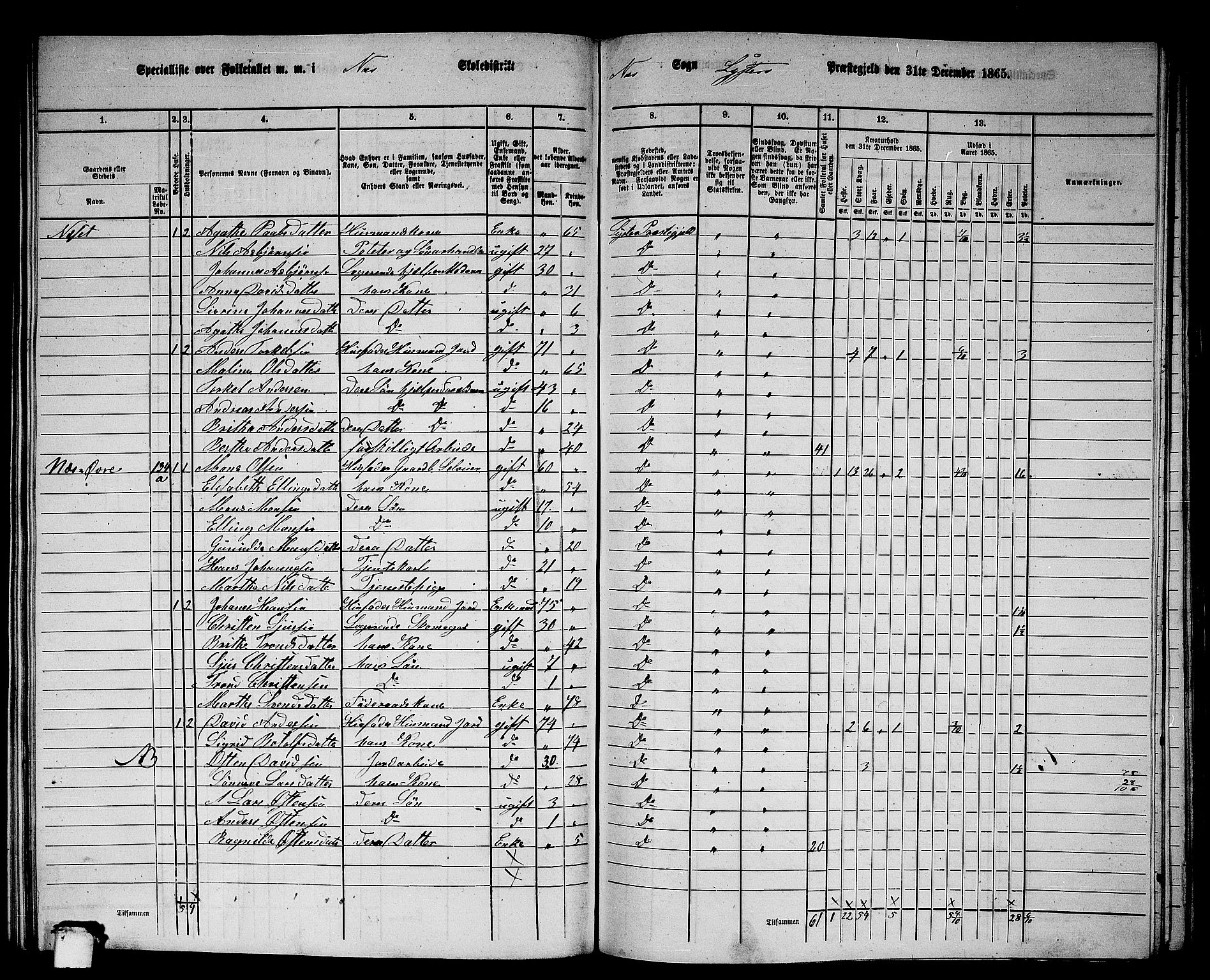 RA, 1865 census for Luster, 1865, p. 123