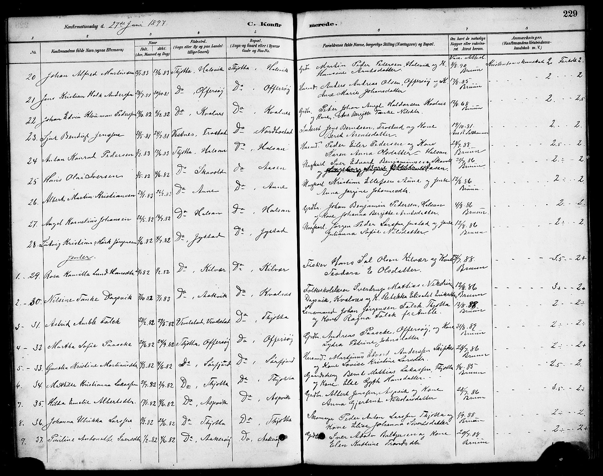 Ministerialprotokoller, klokkerbøker og fødselsregistre - Nordland, AV/SAT-A-1459/817/L0268: Parish register (copy) no. 817C03, 1884-1920, p. 229