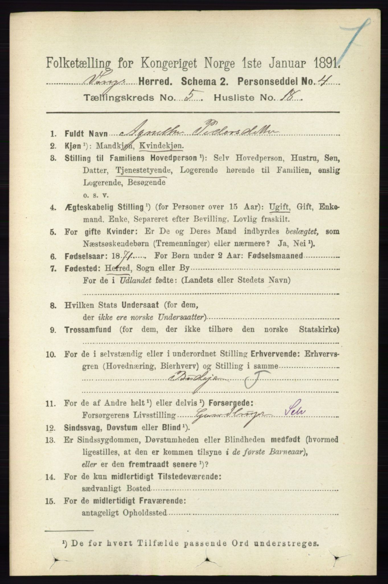 RA, 1891 census for 0414 Vang, 1891, p. 3596