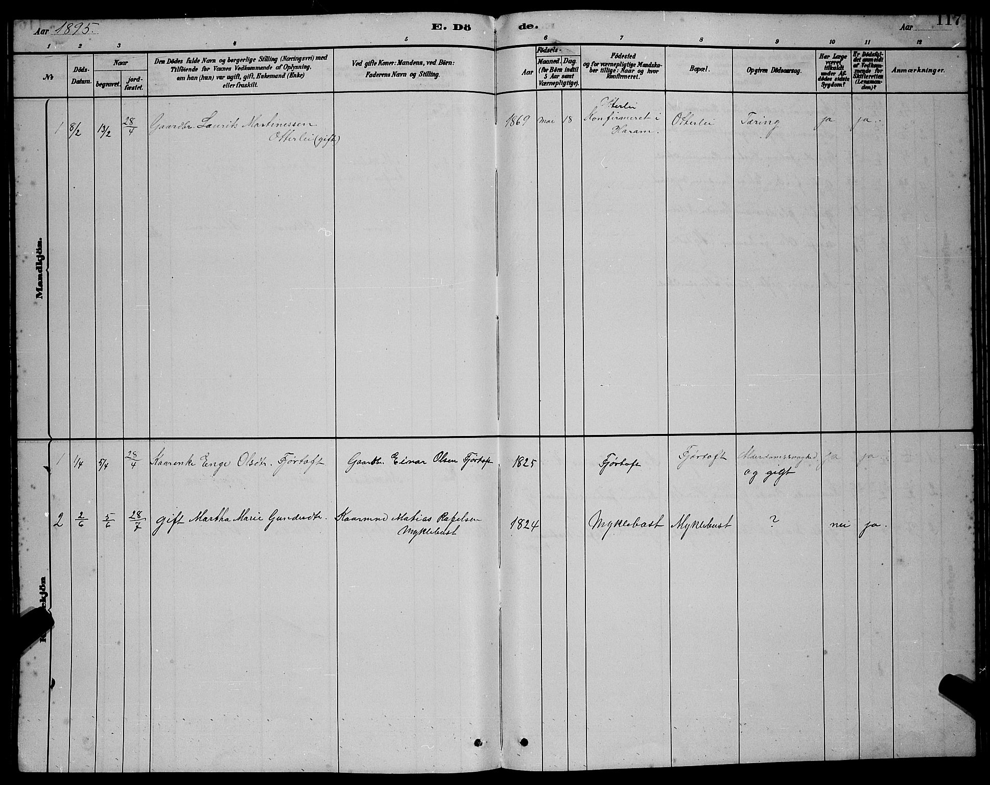 Ministerialprotokoller, klokkerbøker og fødselsregistre - Møre og Romsdal, SAT/A-1454/538/L0523: Parish register (copy) no. 538C01, 1881-1900, p. 117