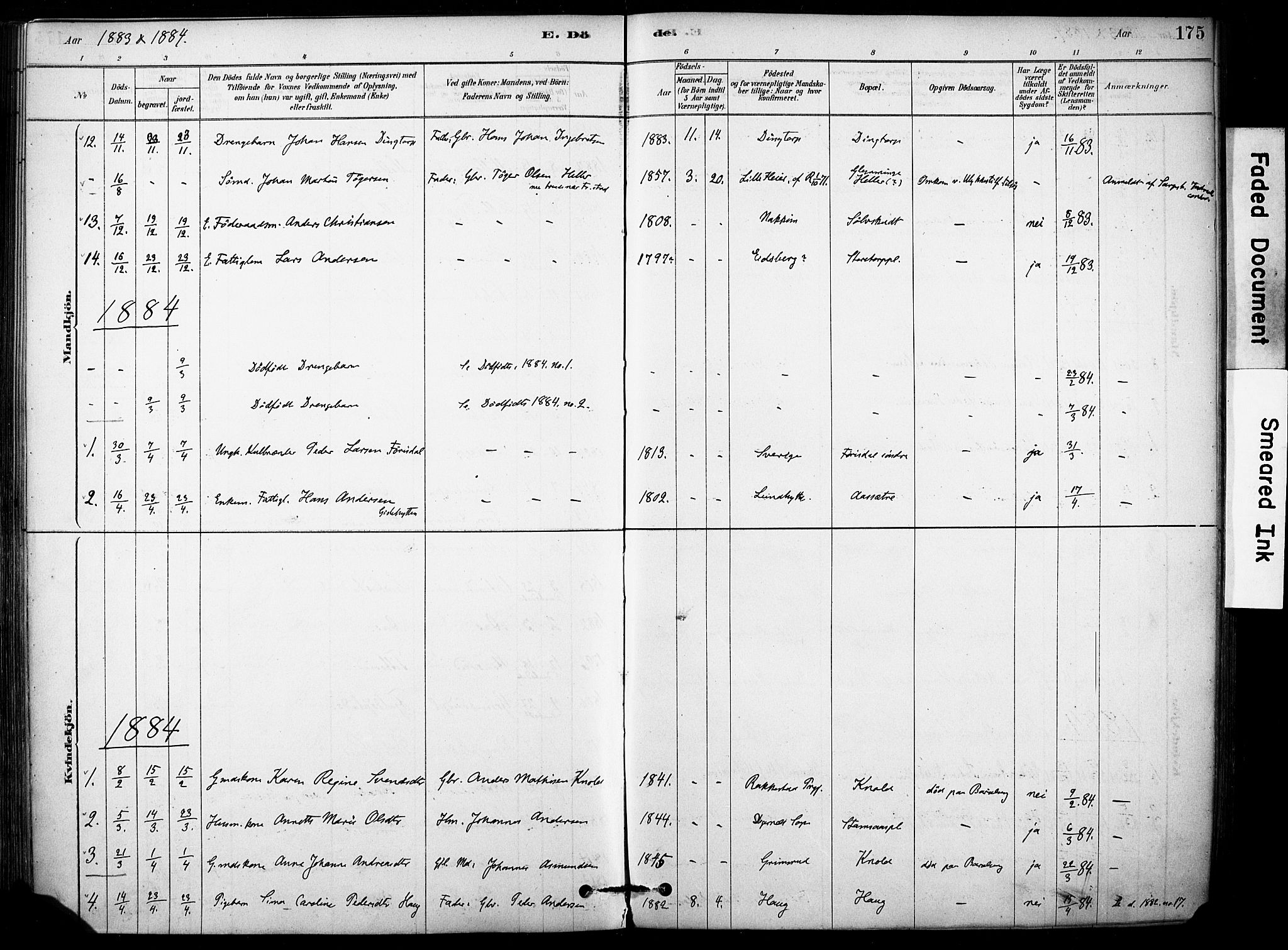 Rakkestad prestekontor Kirkebøker, AV/SAO-A-2008/F/Fb/L0001: Parish register (official) no. II 1, 1878-1899, p. 175