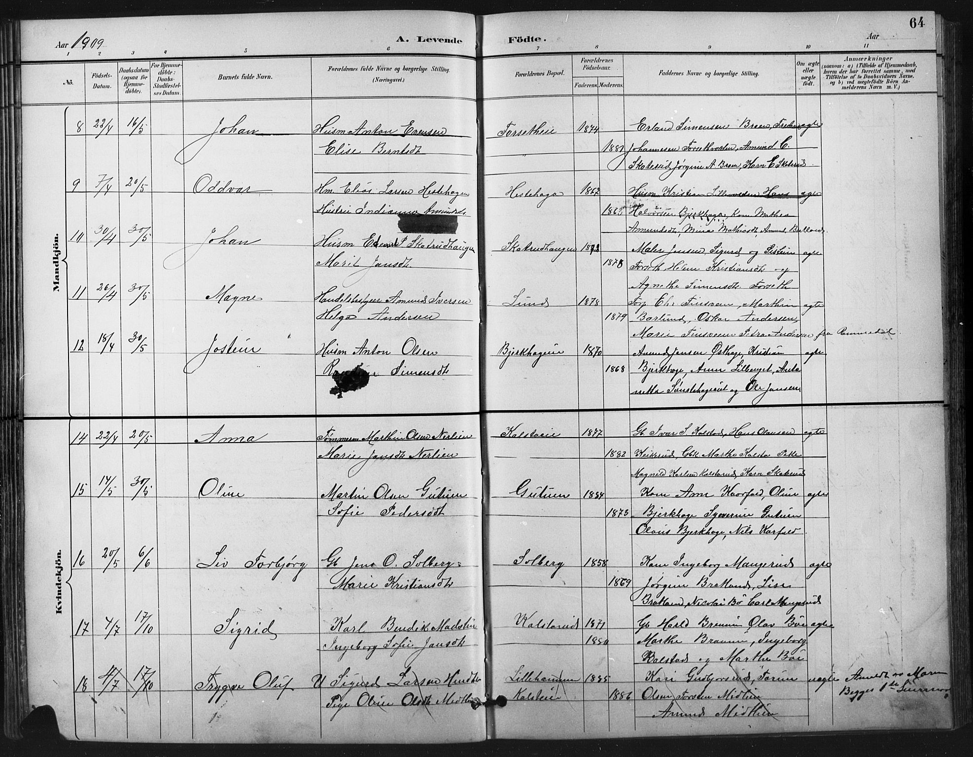 Vestre Gausdal prestekontor, SAH/PREST-094/H/Ha/Hab/L0003: Parish register (copy) no. 3, 1896-1925, p. 64