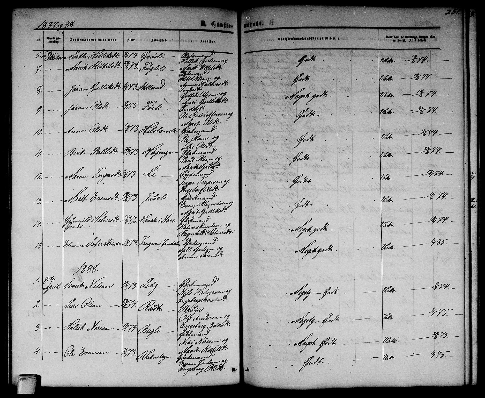 Flesberg kirkebøker, SAKO/A-18/G/Ga/L0003: Parish register (copy) no. I 3, 1861-1889, p. 251