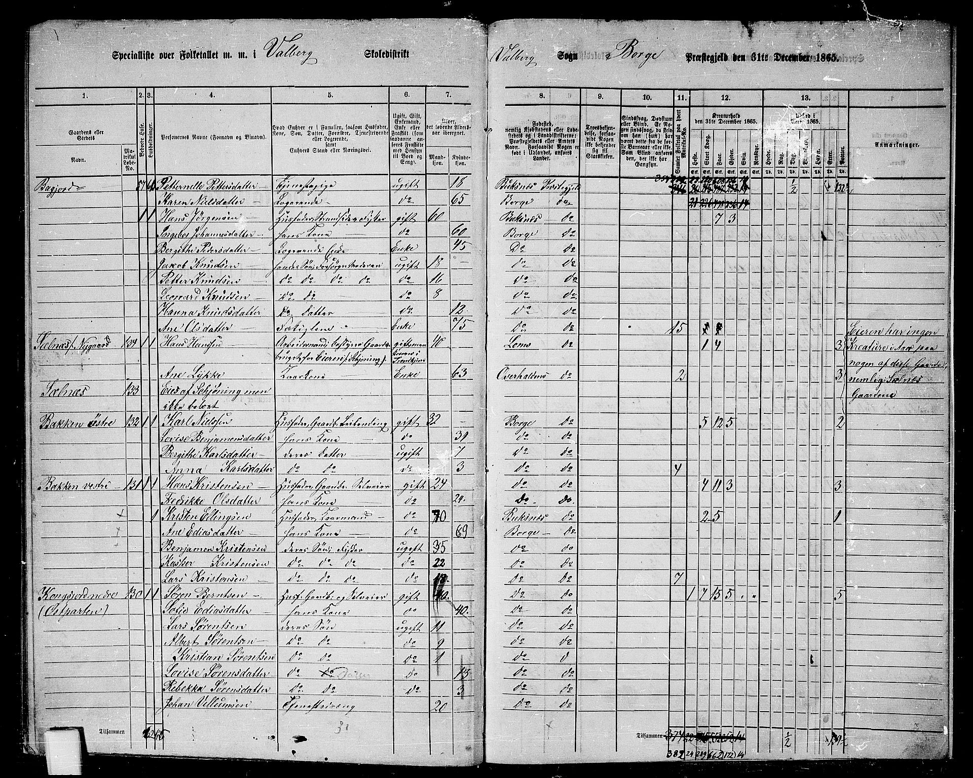 RA, 1865 census for Borge, 1865, p. 95