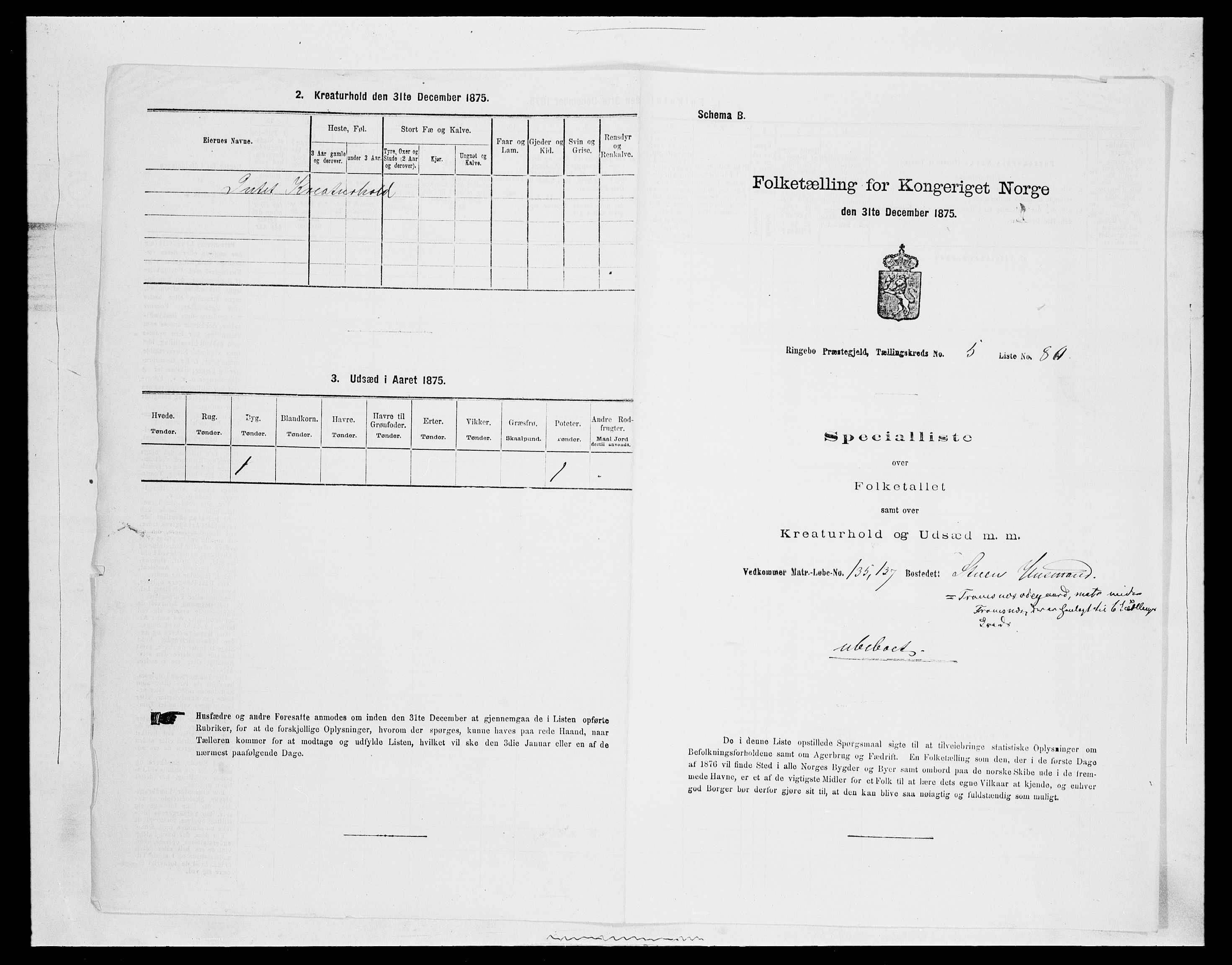 SAH, 1875 census for 0520P Ringebu, 1875, p. 835