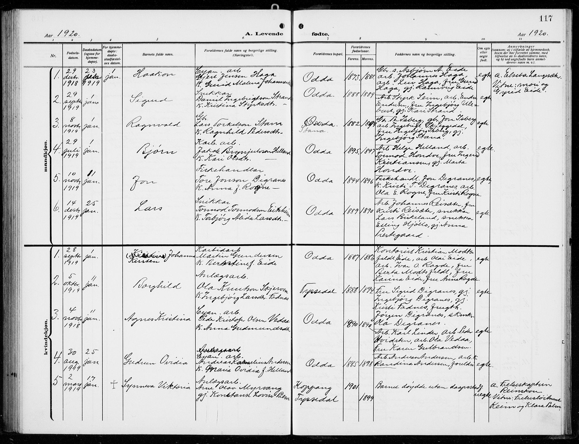 Odda Sokneprestembete, SAB/A-77201/H/Hab: Parish register (copy) no. B  2, 1910-1923, p. 117