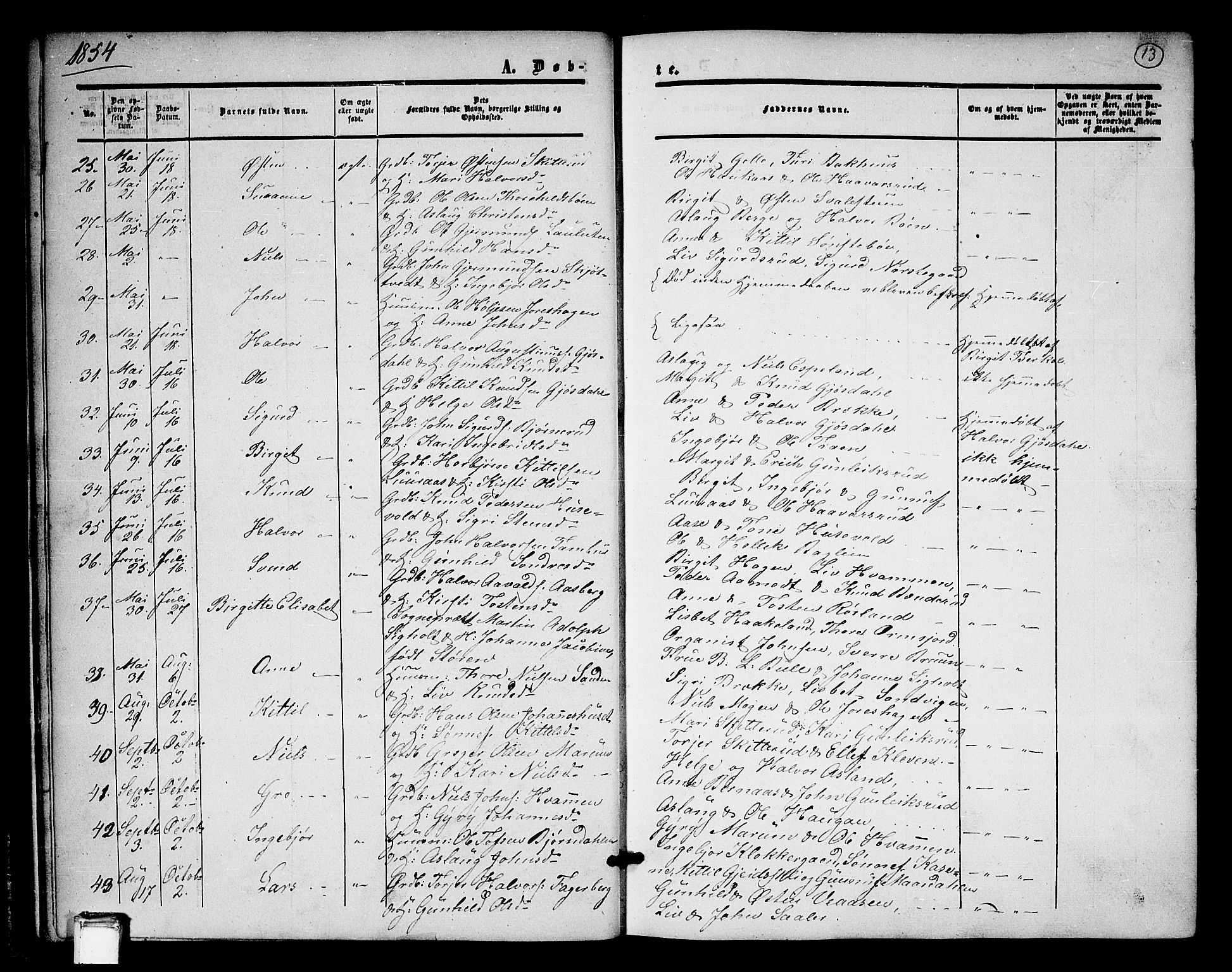 Tinn kirkebøker, SAKO/A-308/G/Ga/L0002: Parish register (copy) no. I 2, 1851-1883, p. 13