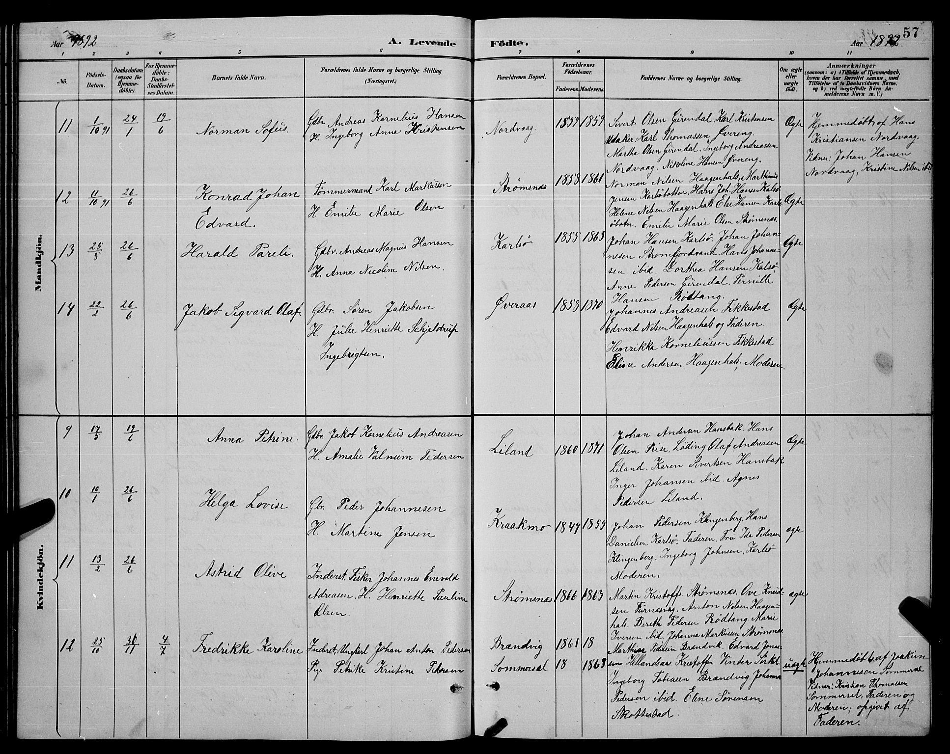 Ministerialprotokoller, klokkerbøker og fødselsregistre - Nordland, SAT/A-1459/859/L0859: Parish register (copy) no. 859C05, 1887-1898, p. 57