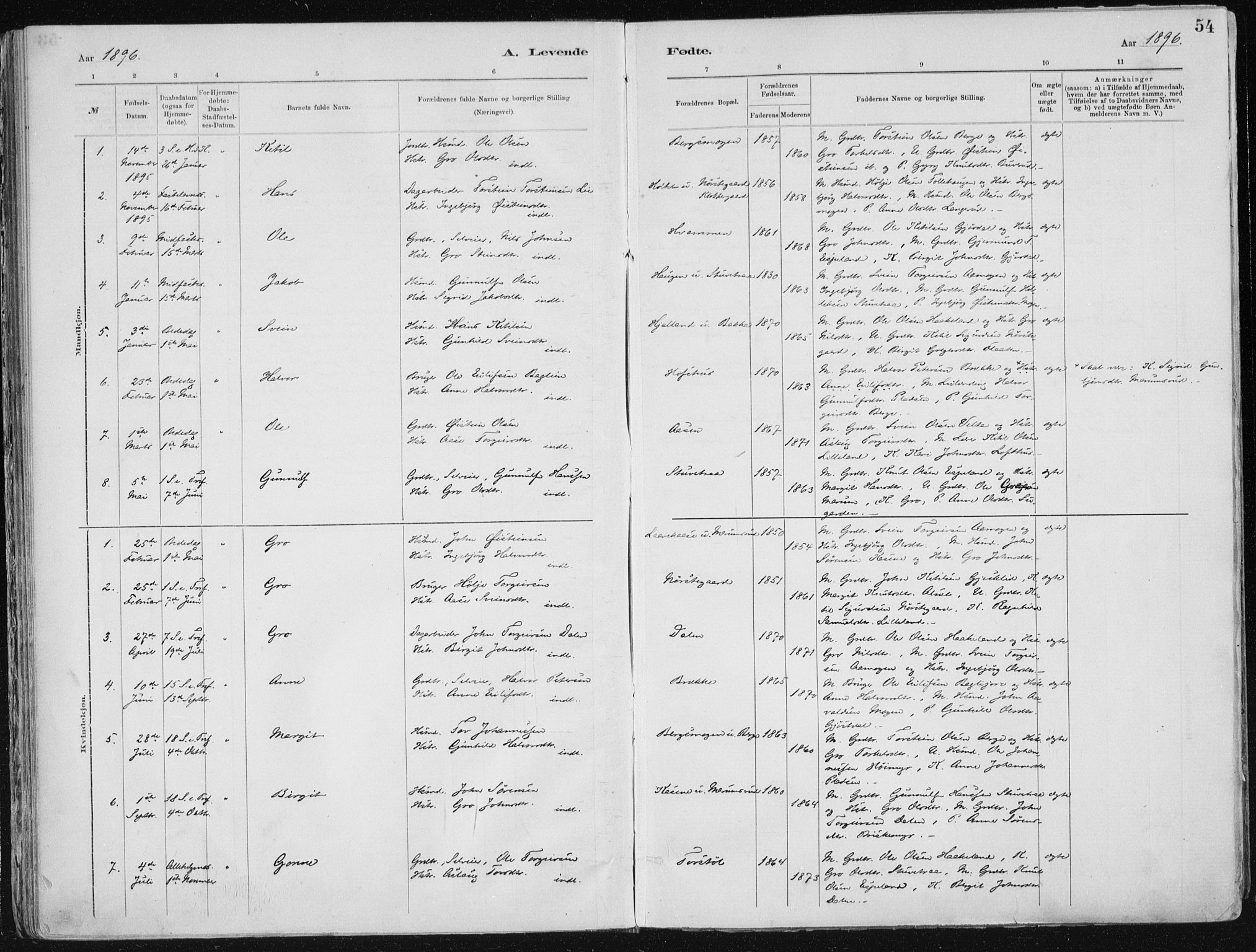 Tinn kirkebøker, SAKO/A-308/F/Fa/L0007: Parish register (official) no. I 7, 1878-1922, p. 54