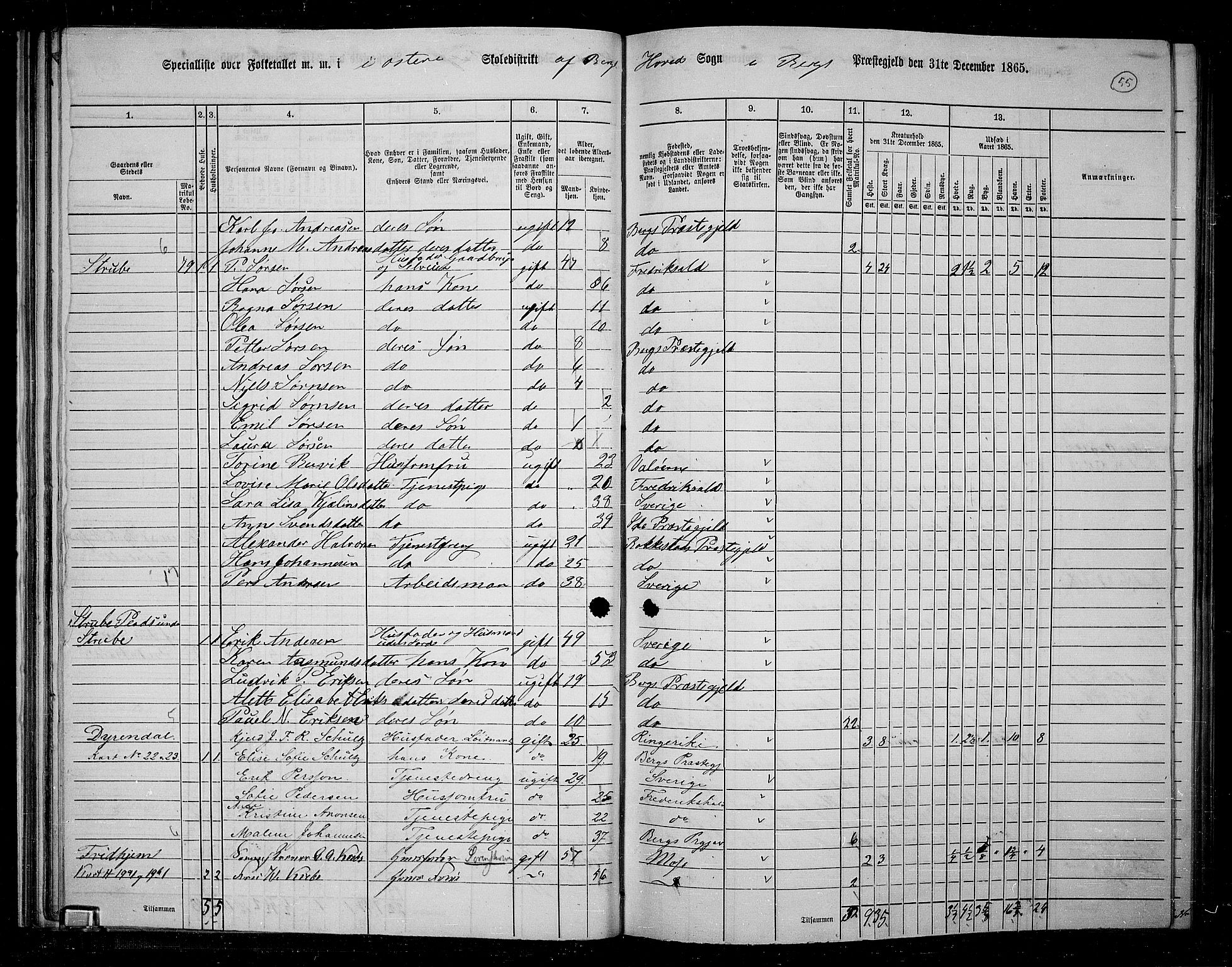 RA, 1865 census for Berg, 1865, p. 52
