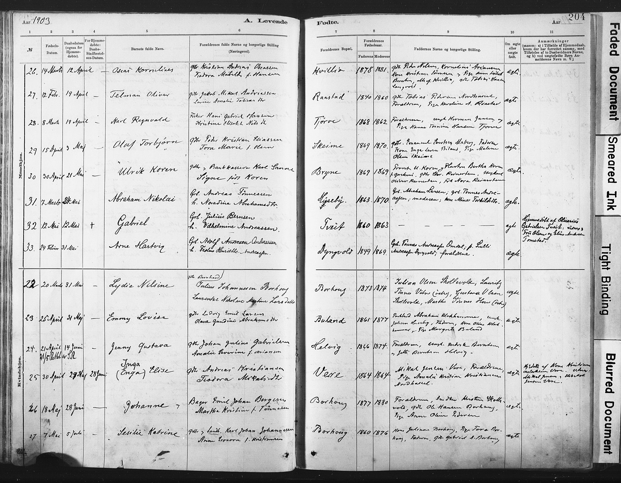 Lista sokneprestkontor, AV/SAK-1111-0027/F/Fa/L0012: Parish register (official) no. A 12, 1879-1903, p. 204