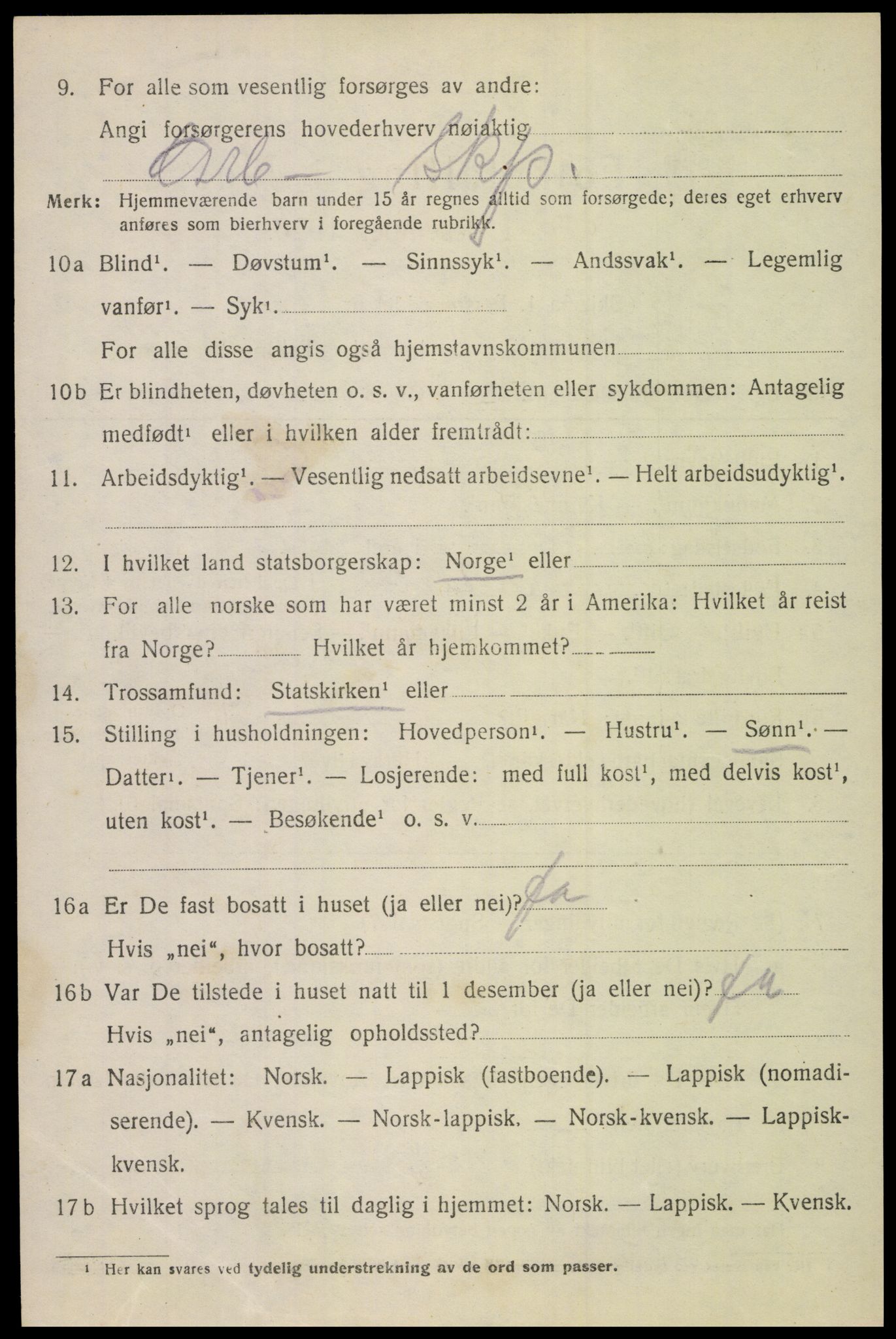 SAT, 1920 census for Bodin, 1920, p. 12843