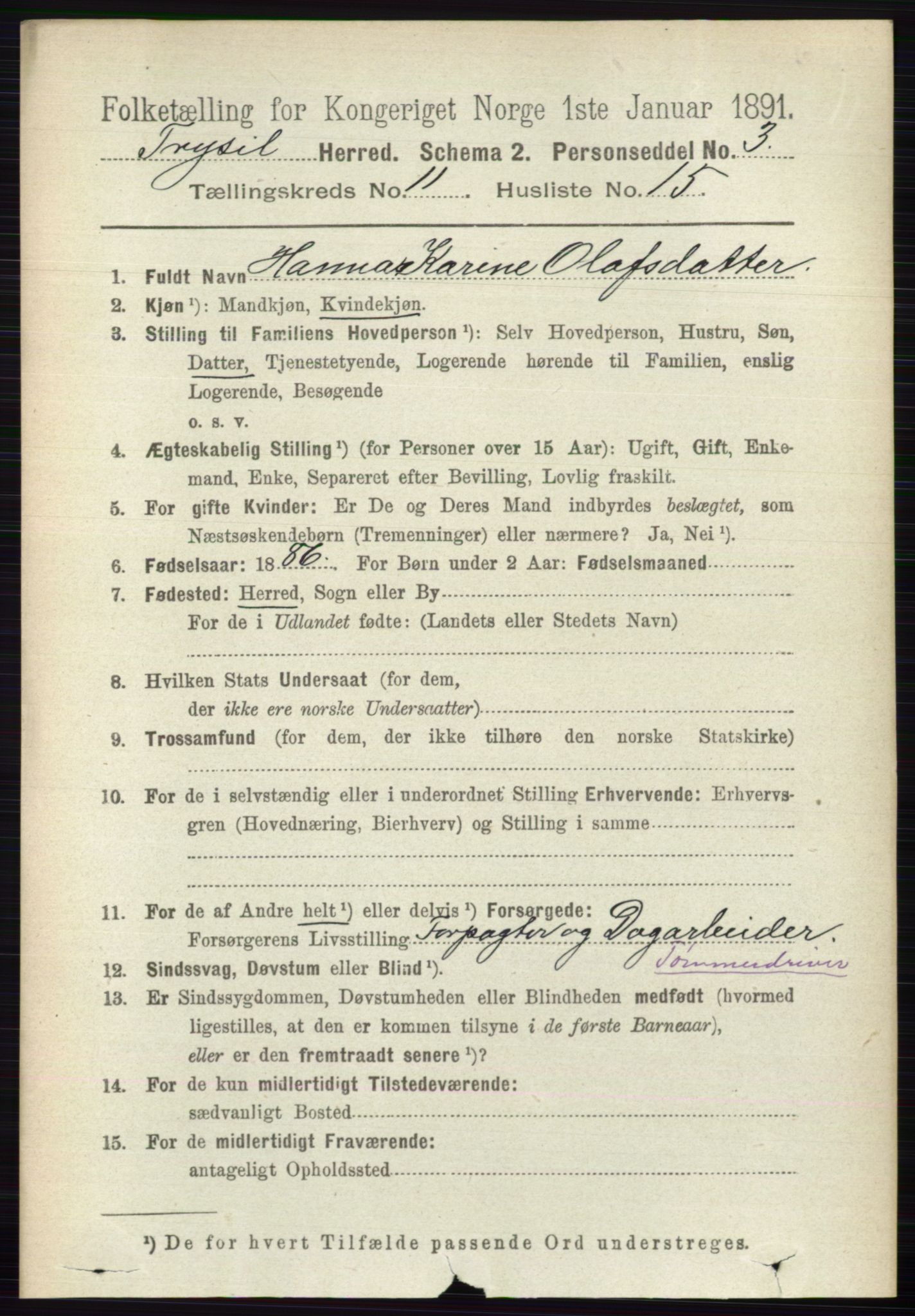 RA, 1891 census for 0428 Trysil, 1891, p. 5613