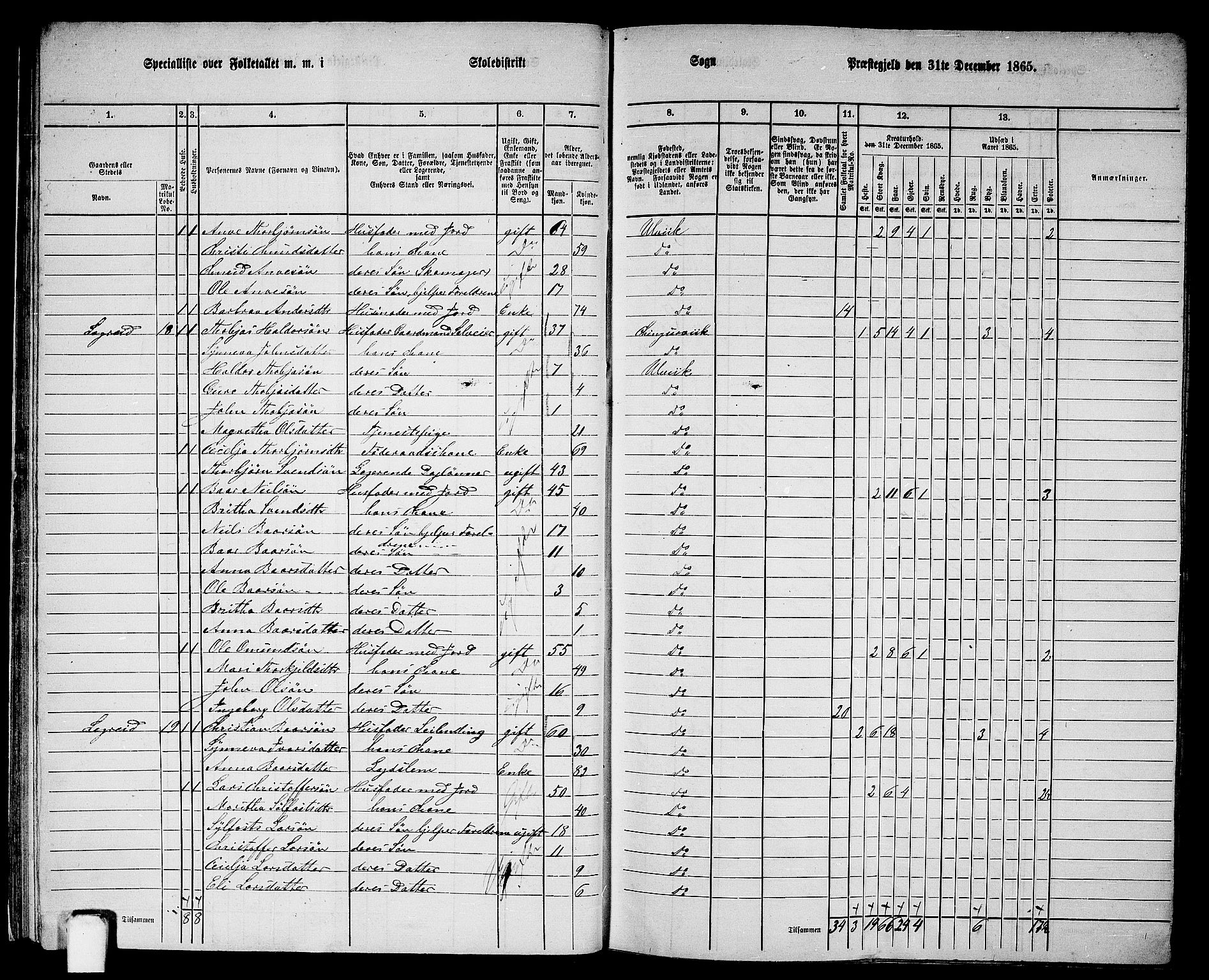 RA, 1865 census for Ulvik, 1865, p. 26