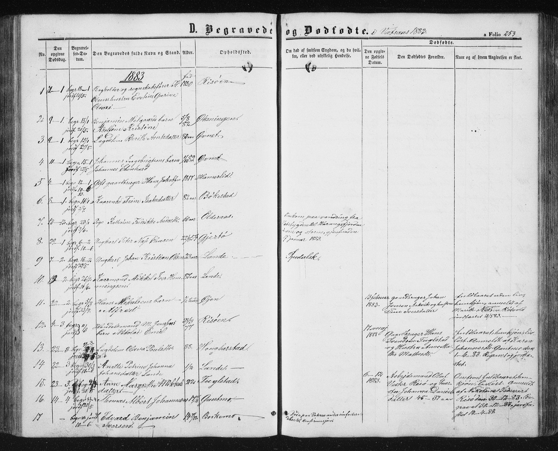 Ministerialprotokoller, klokkerbøker og fødselsregistre - Nordland, AV/SAT-A-1459/810/L0158: Parish register (copy) no. 810C02 /1, 1863-1883, p. 253