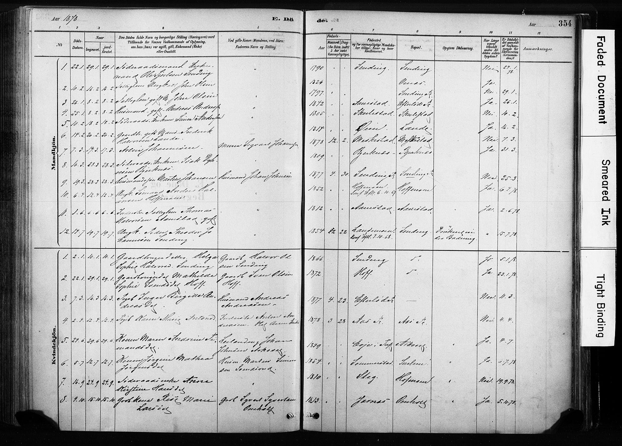 Sandsvær kirkebøker, AV/SAKO-A-244/F/Fb/L0001: Parish register (official) no. II 1, 1878-1906, p. 354