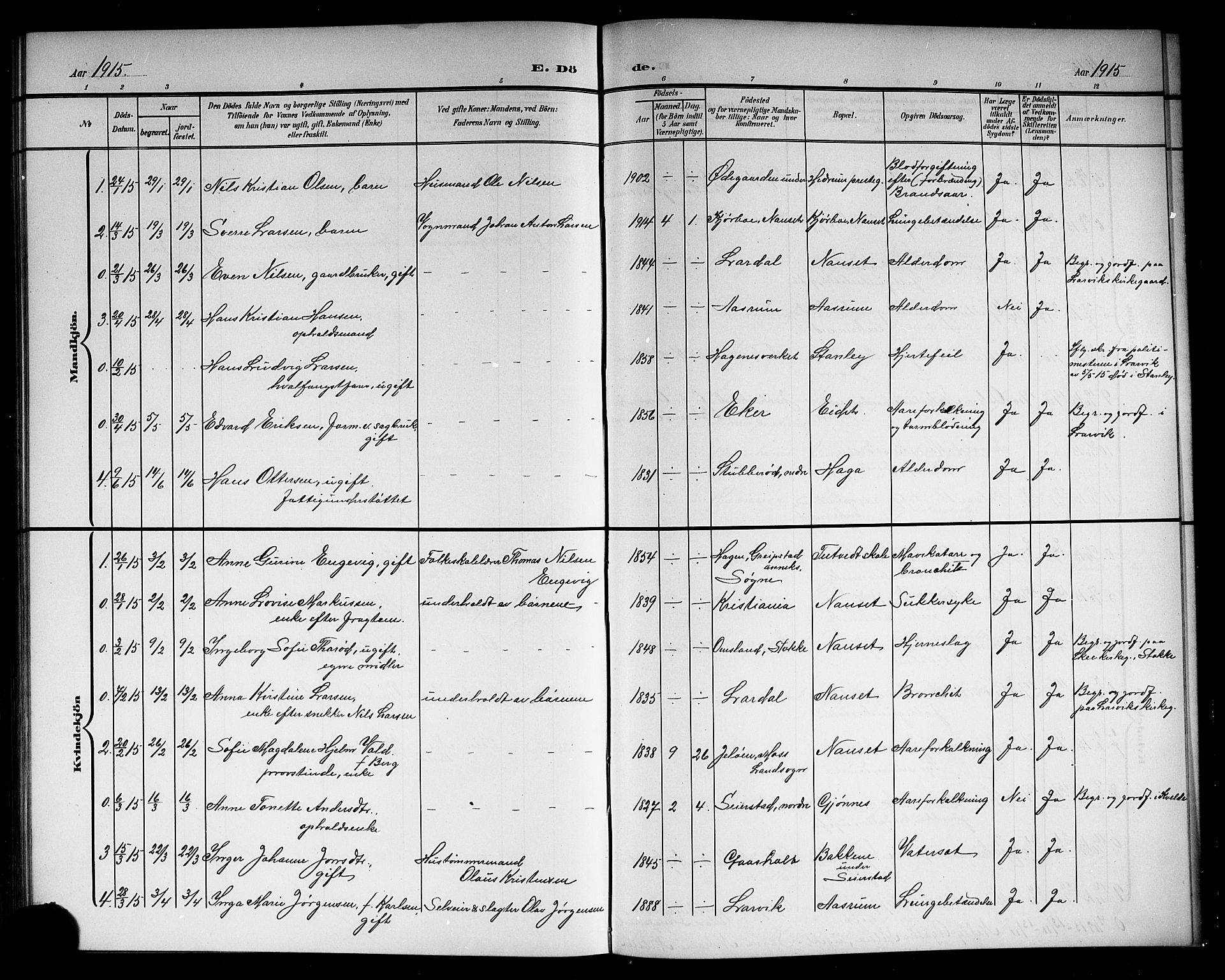 Hedrum kirkebøker, AV/SAKO-A-344/G/Ga/L0004: Parish register (copy) no. I 4, 1902-1915