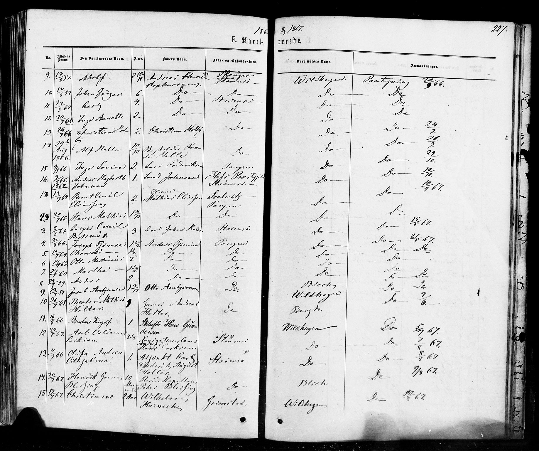 Strømsø kirkebøker, SAKO/A-246/F/Fa/L0018: Parish register (official) no. I 18, 1865-1878, p. 227