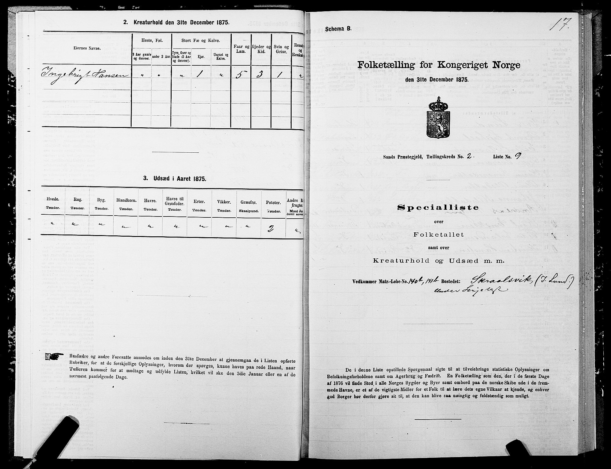 SATØ, 1875 census for 1915P Sand, 1875, p. 2017