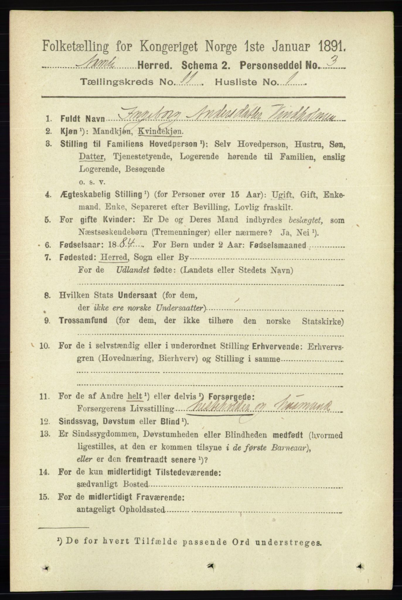 RA, 1891 census for 0929 Åmli, 1891, p. 1851