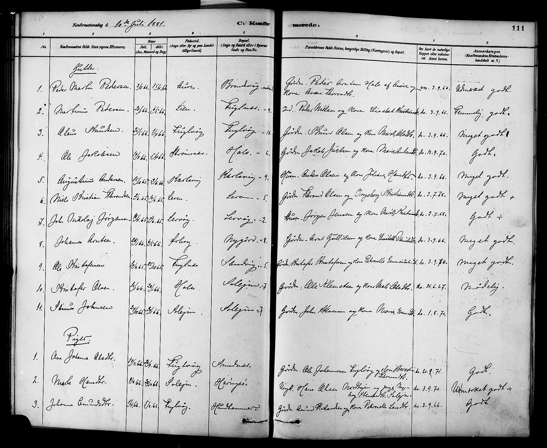 Ministerialprotokoller, klokkerbøker og fødselsregistre - Møre og Romsdal, AV/SAT-A-1454/577/L0896: Parish register (official) no. 577A03, 1880-1898, p. 111