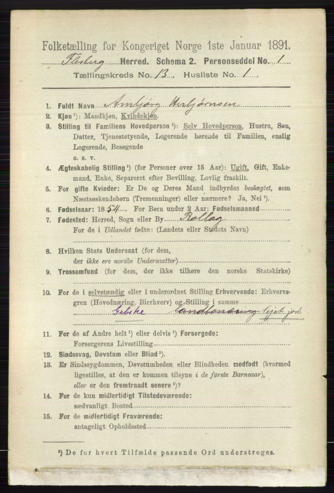 RA, 1891 census for 0631 Flesberg, 1891, p. 2224