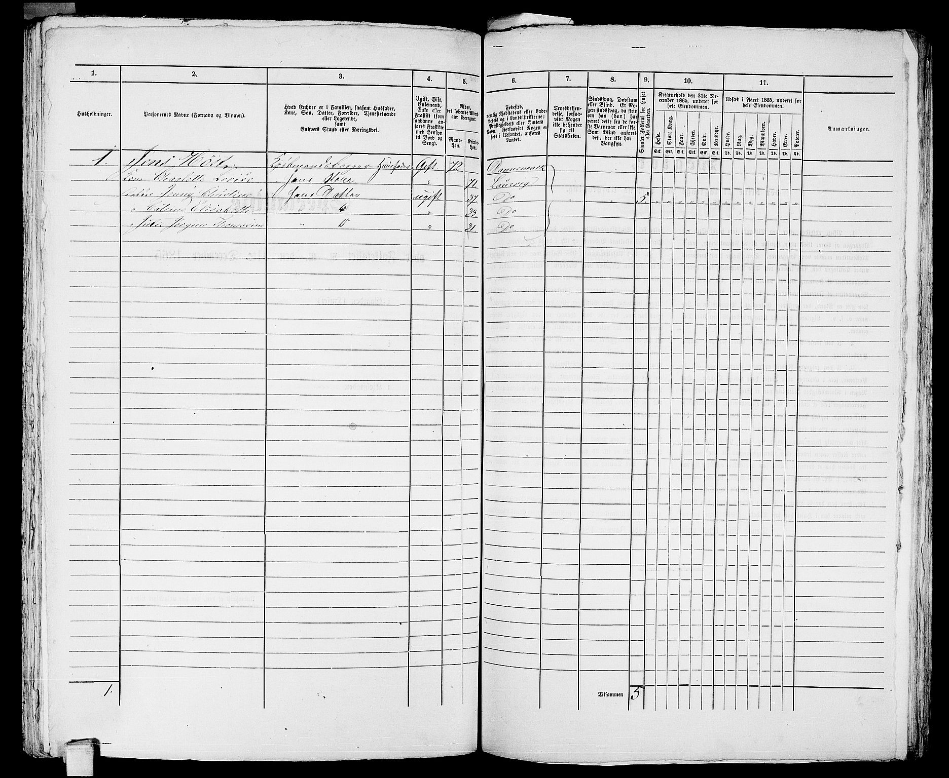 RA, 1865 census for Larvik, 1865, p. 1079