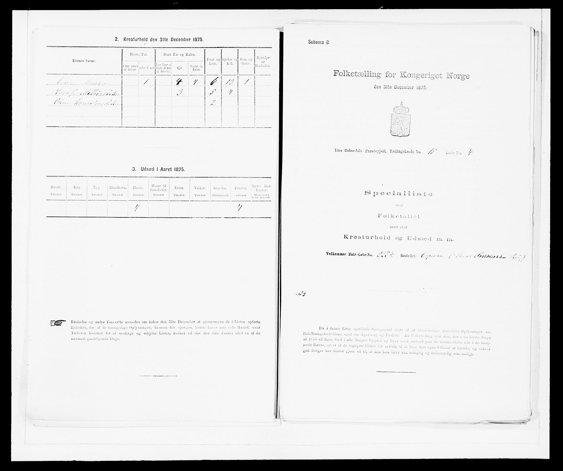 SAB, 1875 census for 1429P Ytre Holmedal, 1875, p. 1029