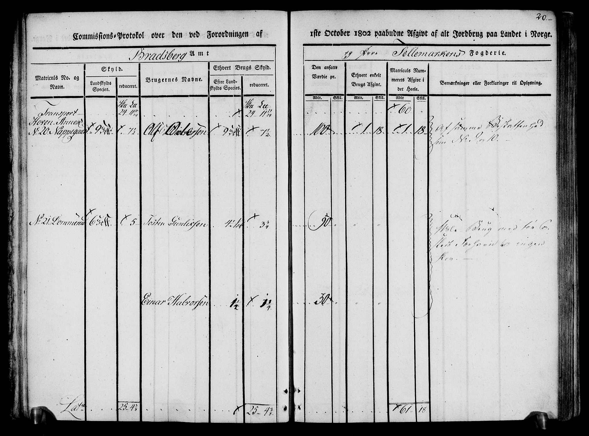 Rentekammeret inntil 1814, Realistisk ordnet avdeling, RA/EA-4070/N/Ne/Nea/L0074: Øvre Telemarken fogderi. Kommisjonsprotokoll for fogderiets østre del - Tinn, Hjartdal og Seljord prestegjeld., 1803, p. 20