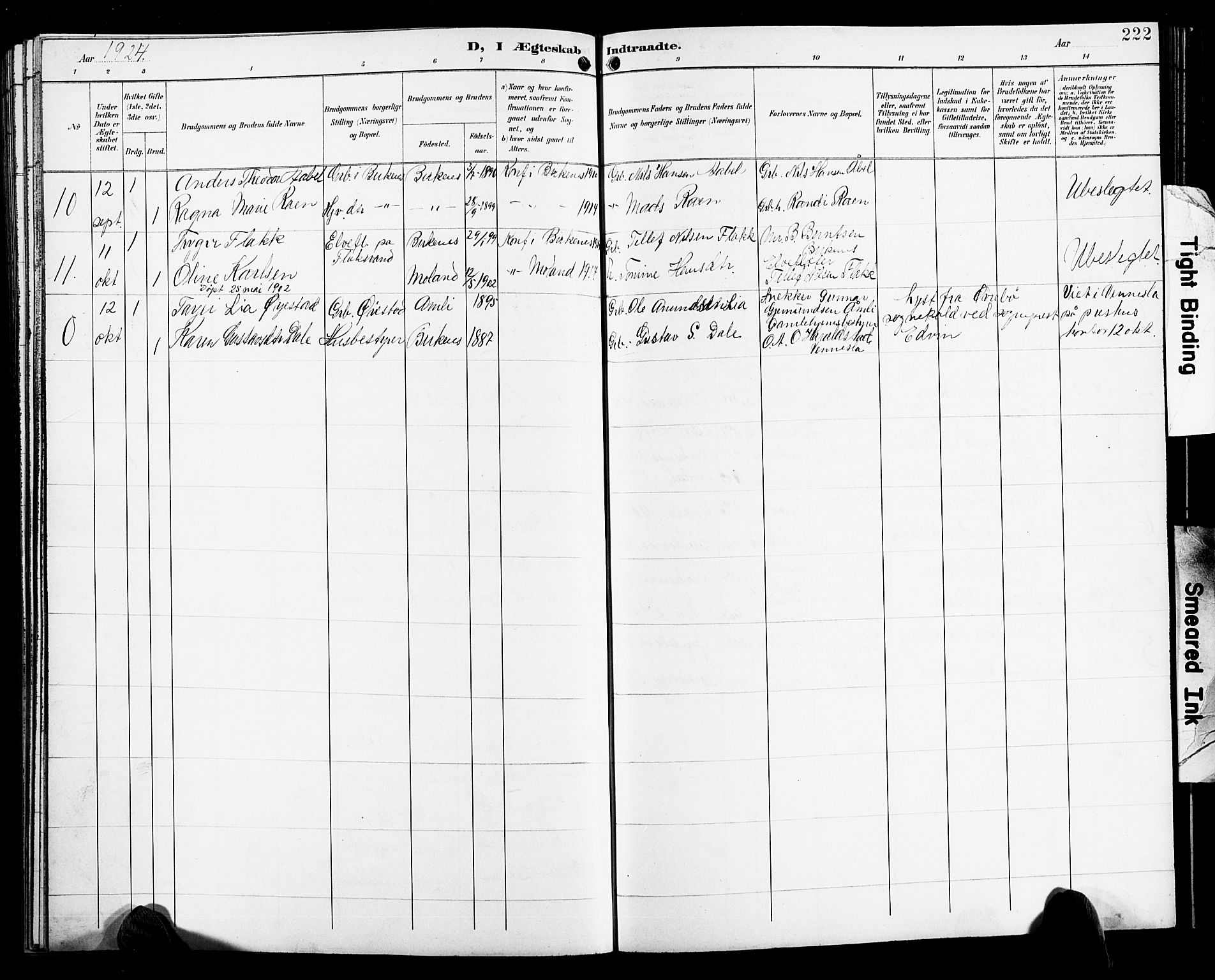 Birkenes sokneprestkontor, SAK/1111-0004/F/Fb/L0004: Parish register (copy) no. B 4, 1893-1930, p. 222